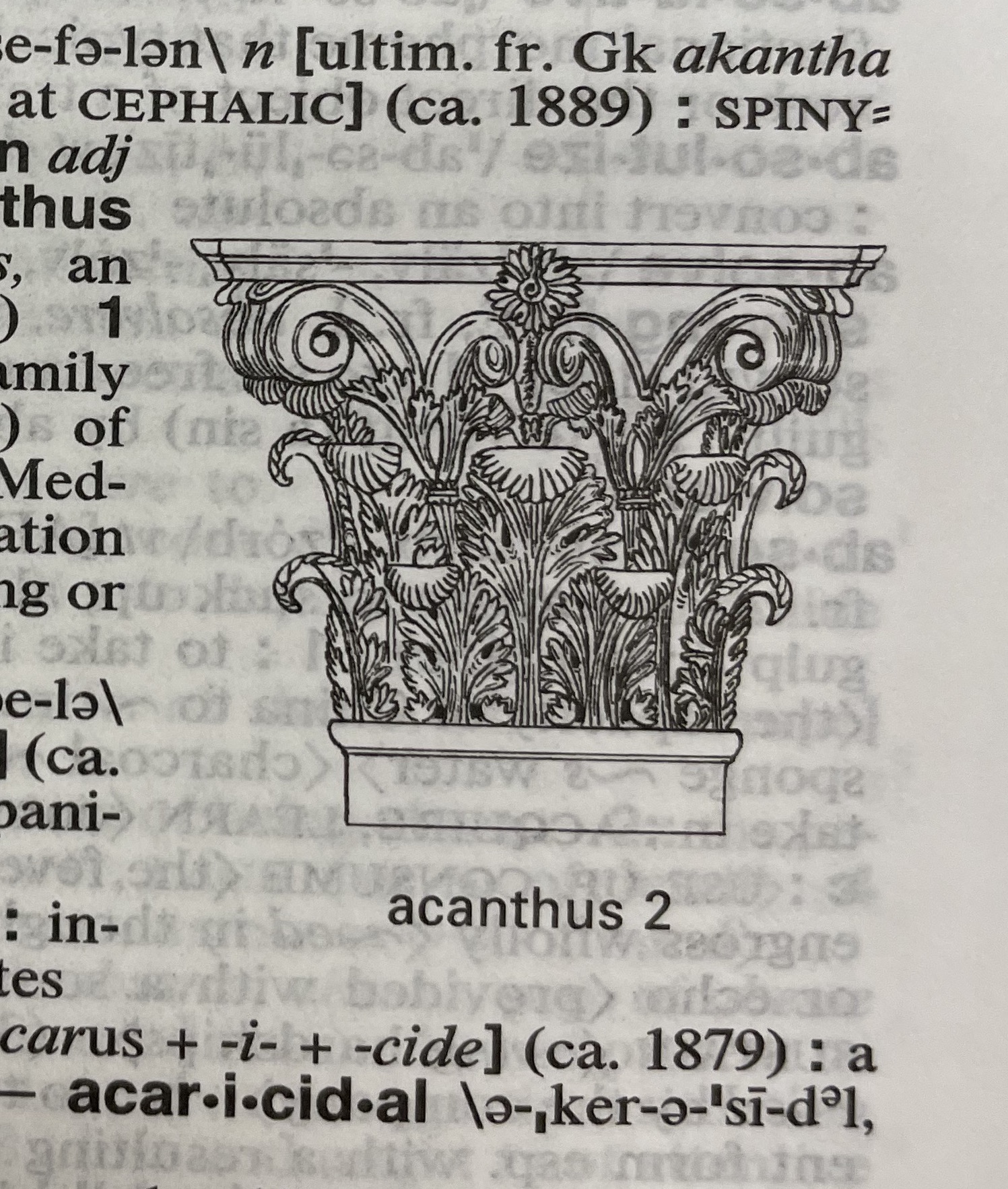 Dictionary illustration