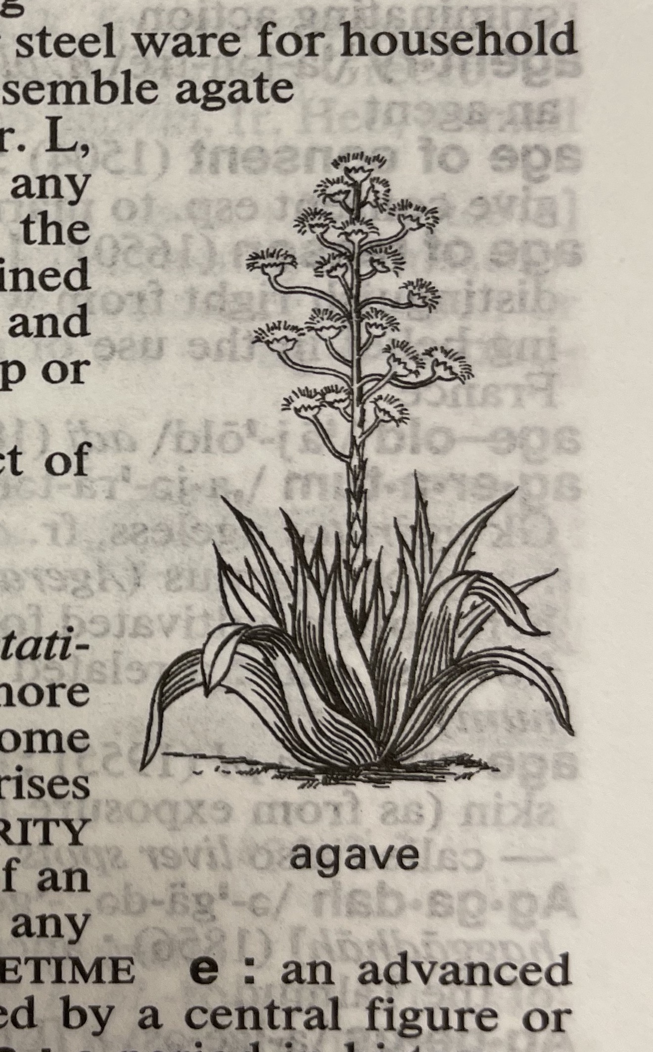 Dictionary illustration