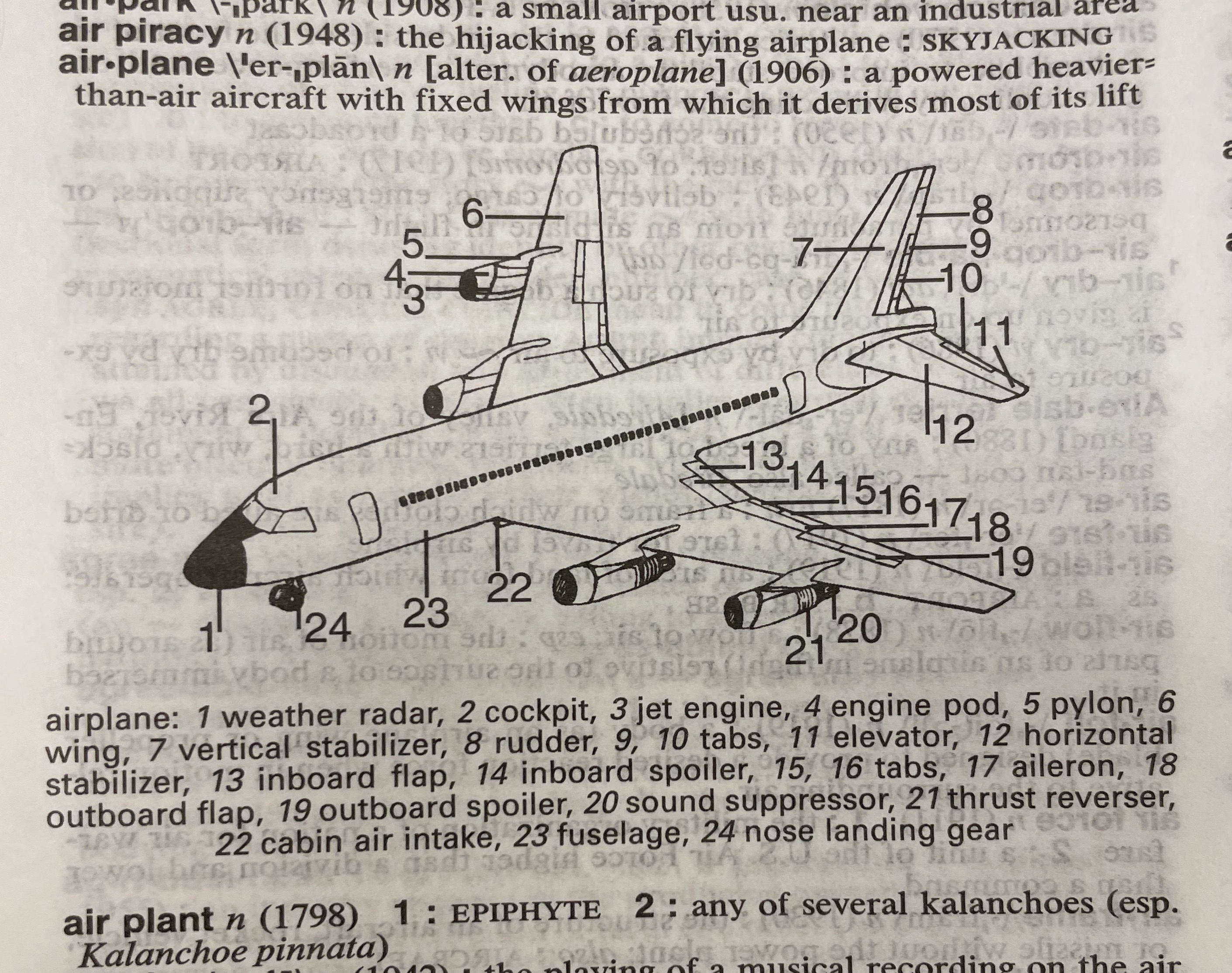 Dictionary illustration