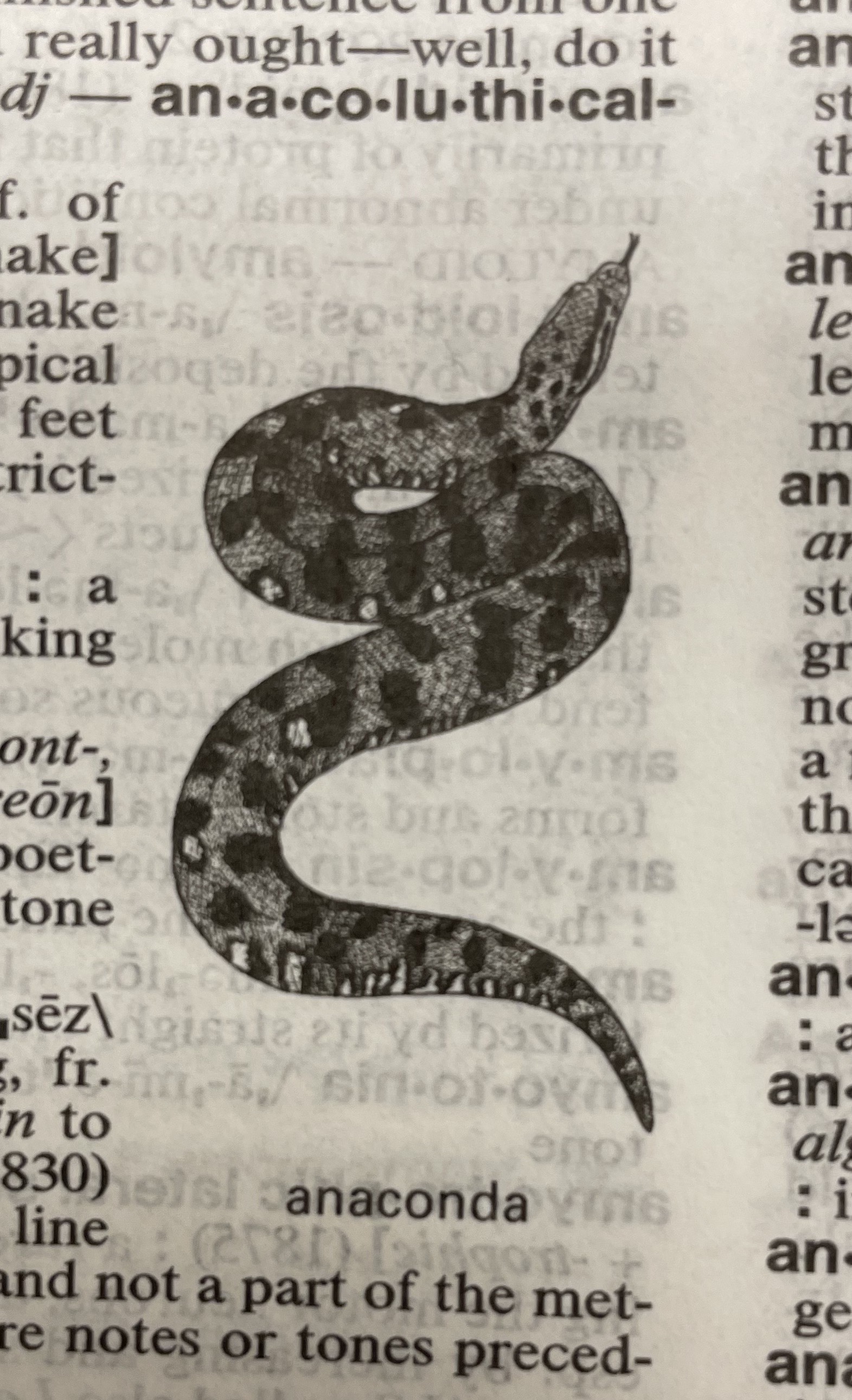 Dictionary illustration
