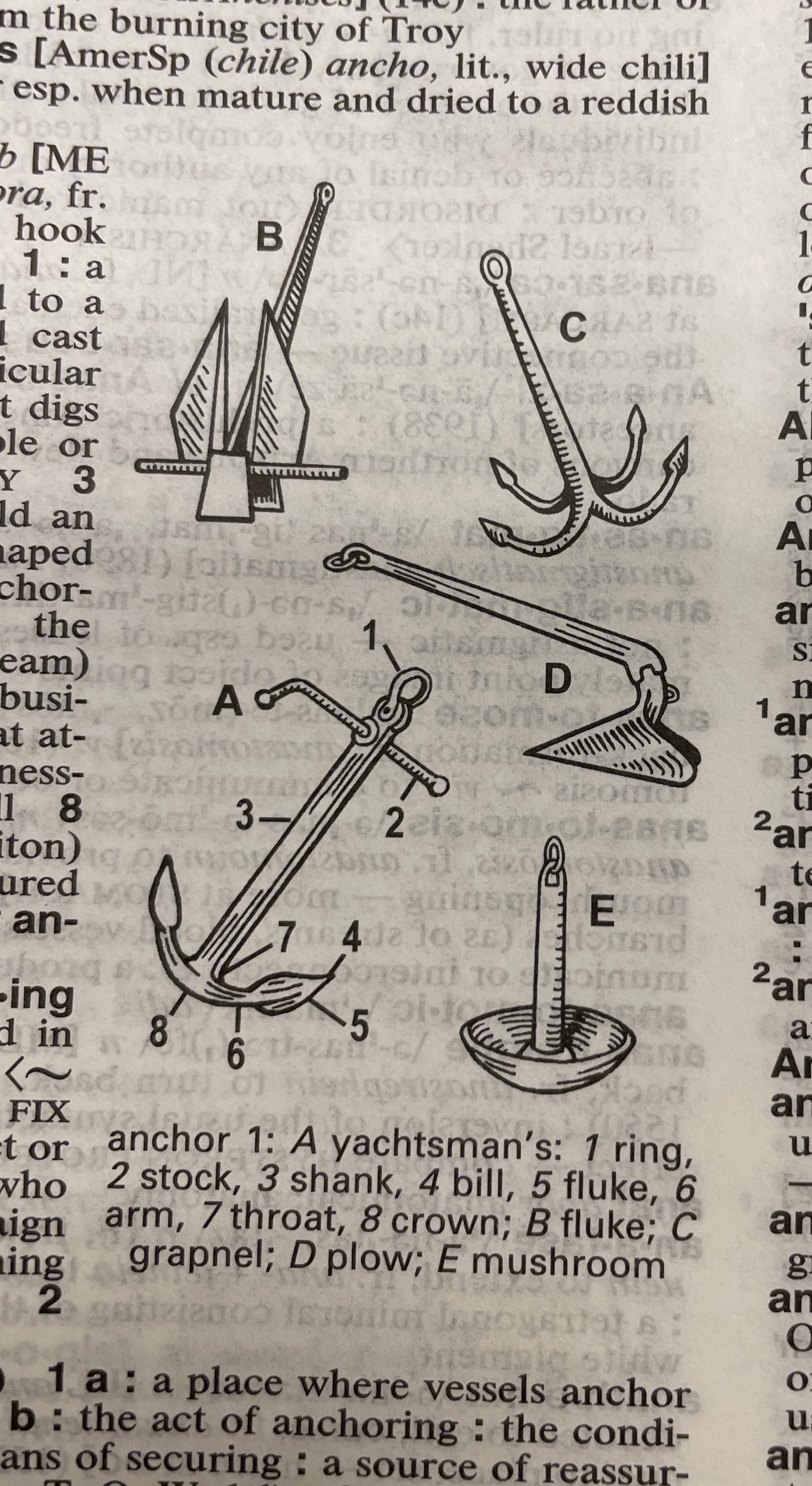Dictionary illustration