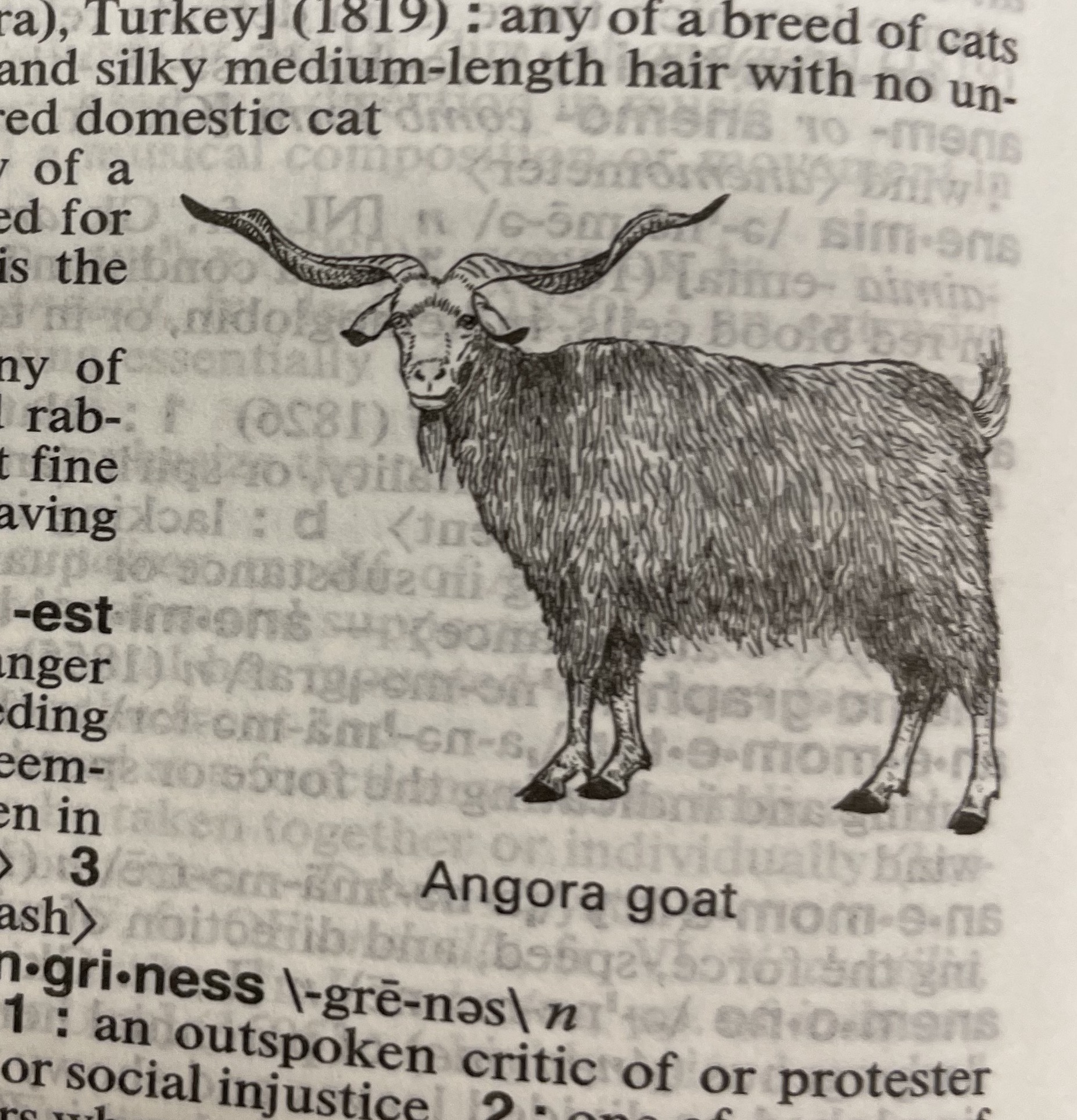Dictionary illustration