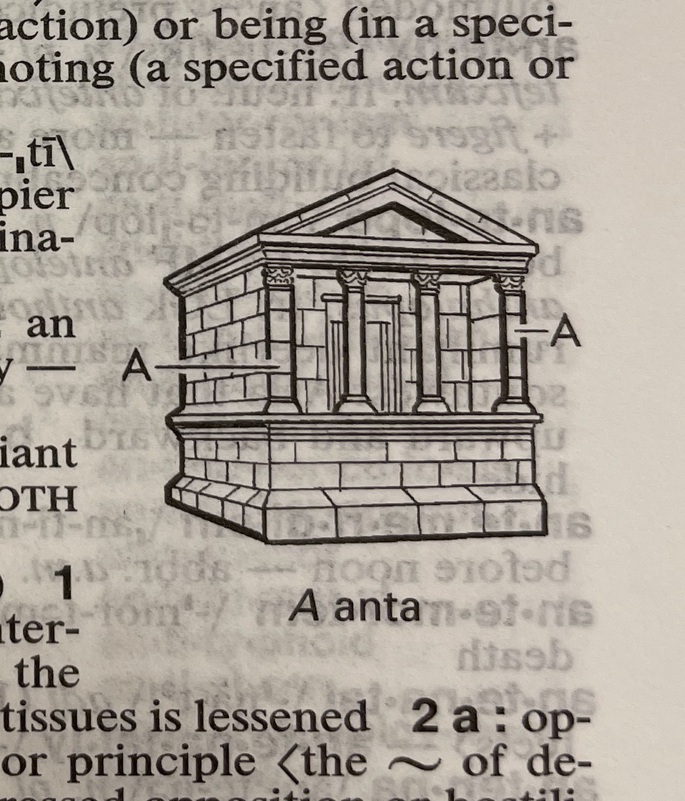 Dictionary illustration