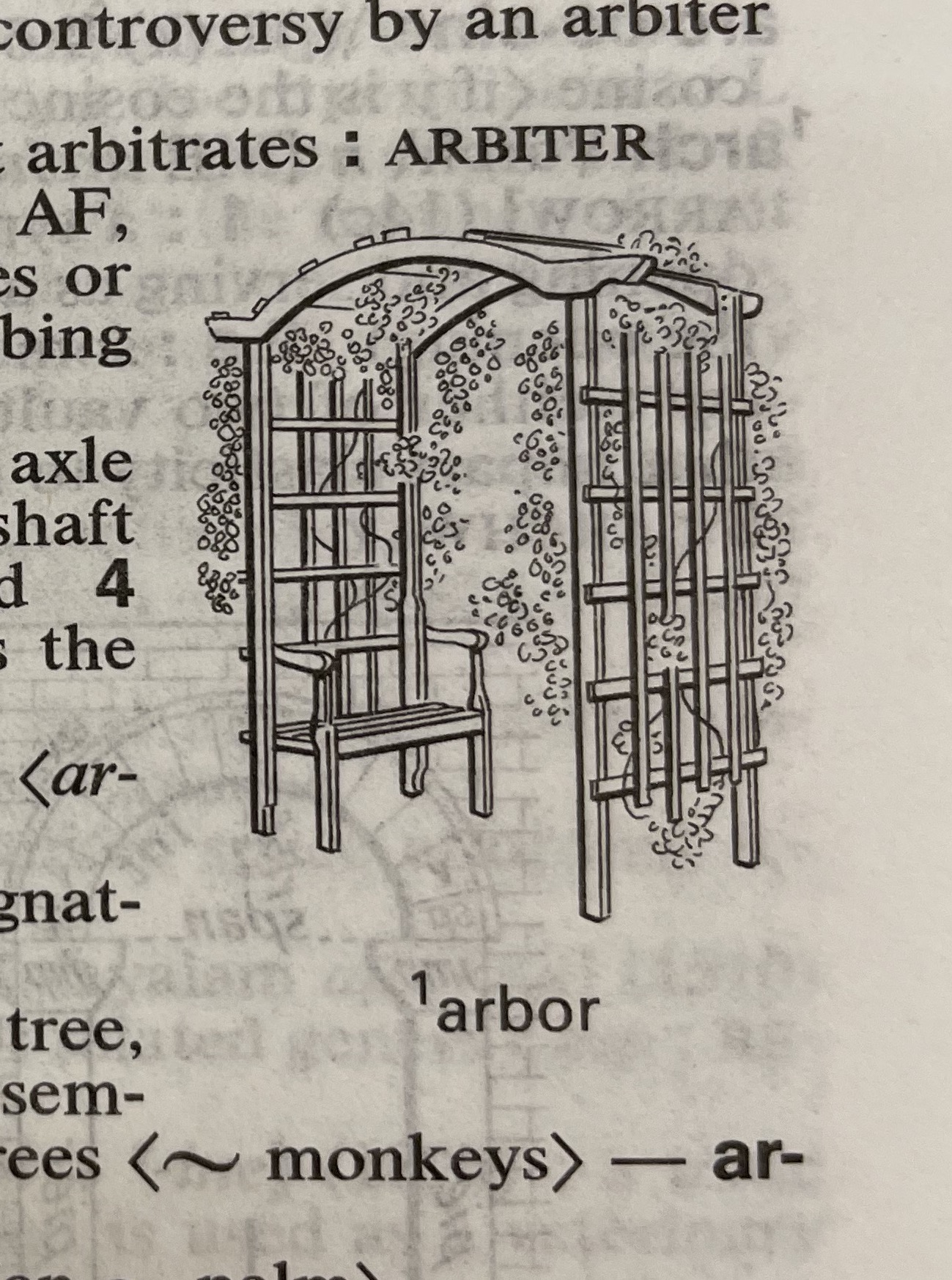 Dictionary illustration