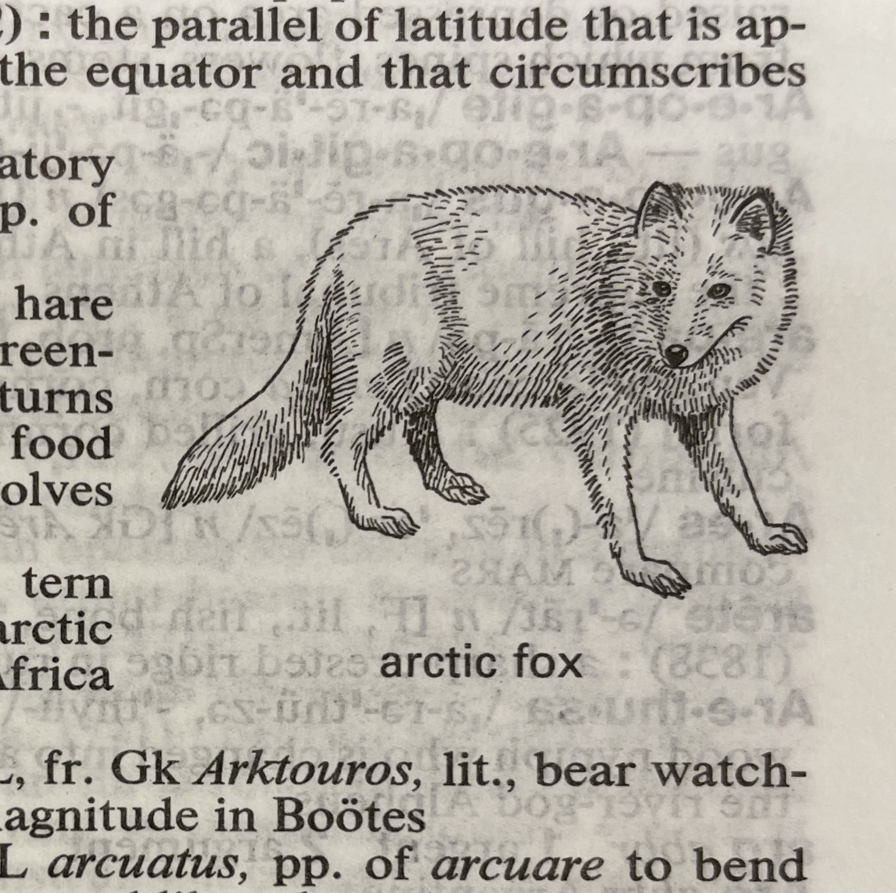 Dictionary illustration
