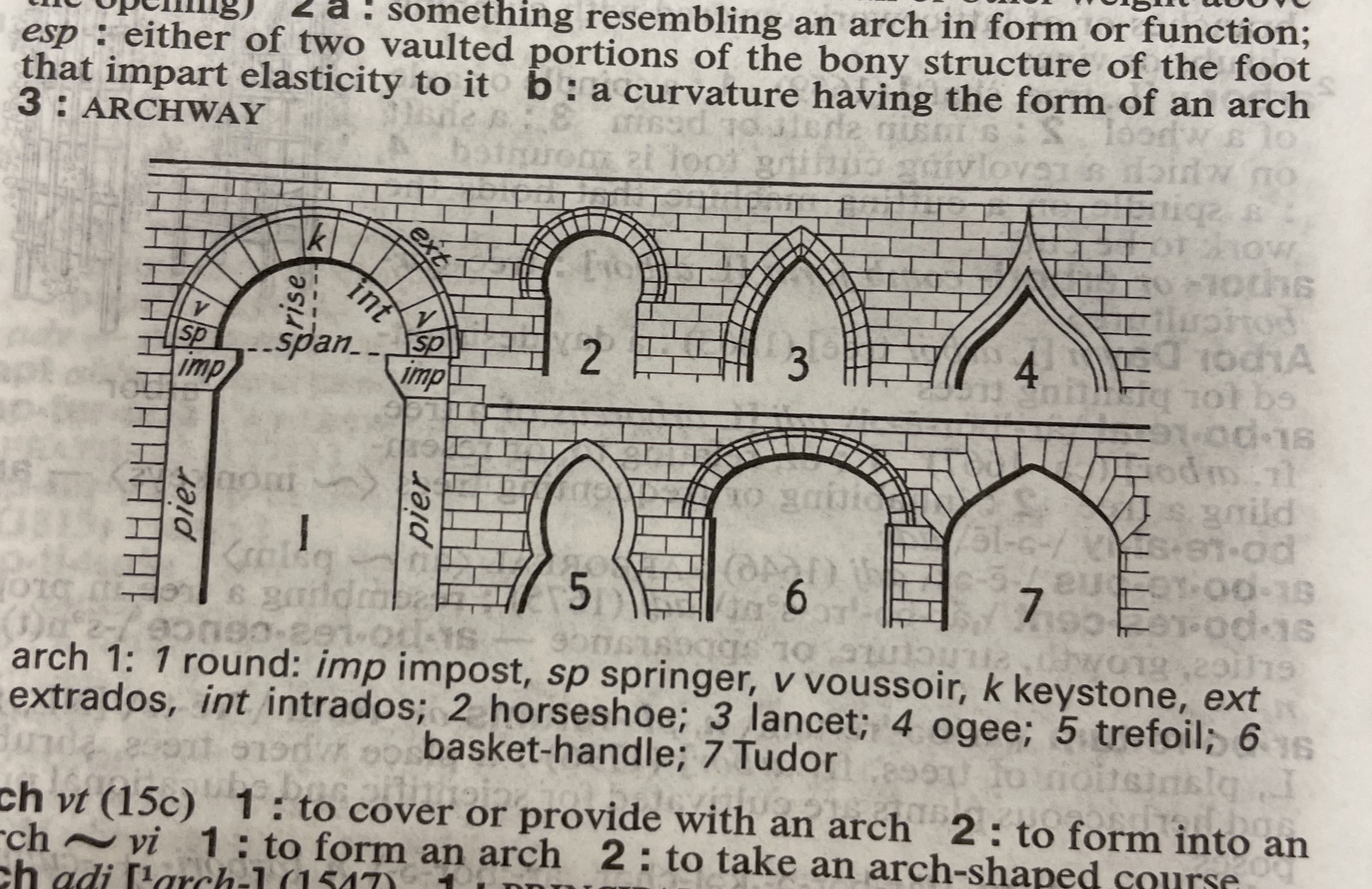 Dictionary illustration