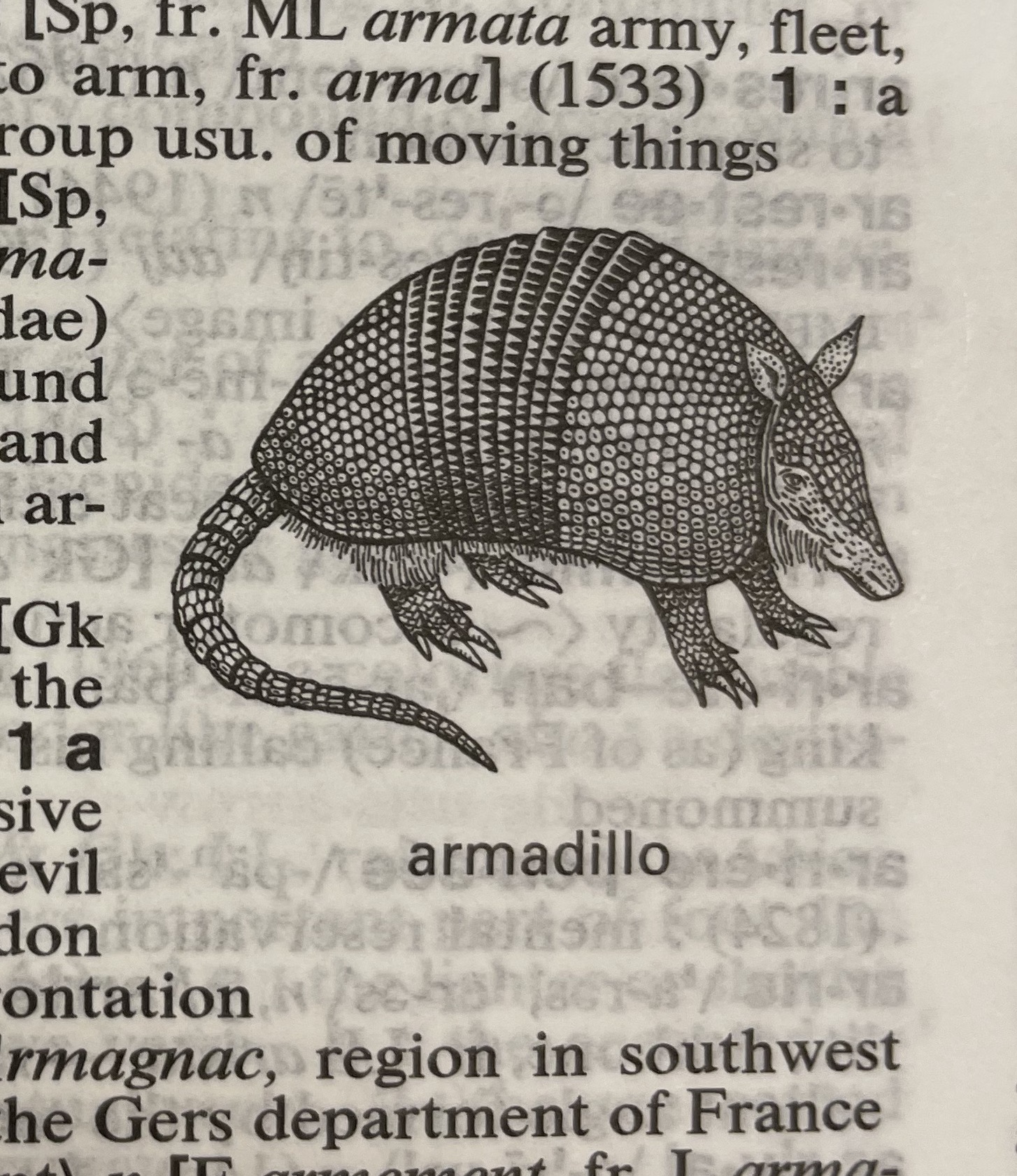Dictionary illustration