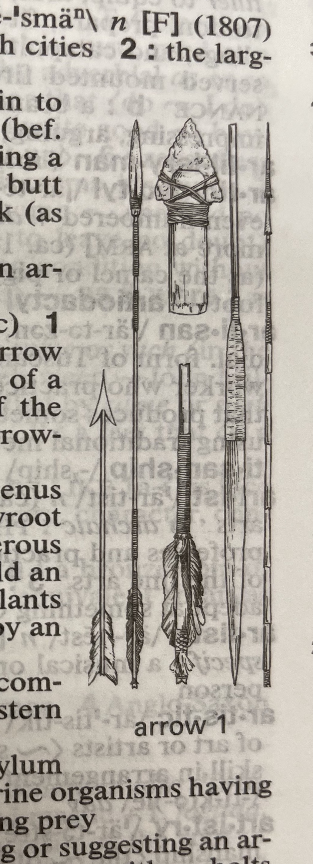 Dictionary illustration