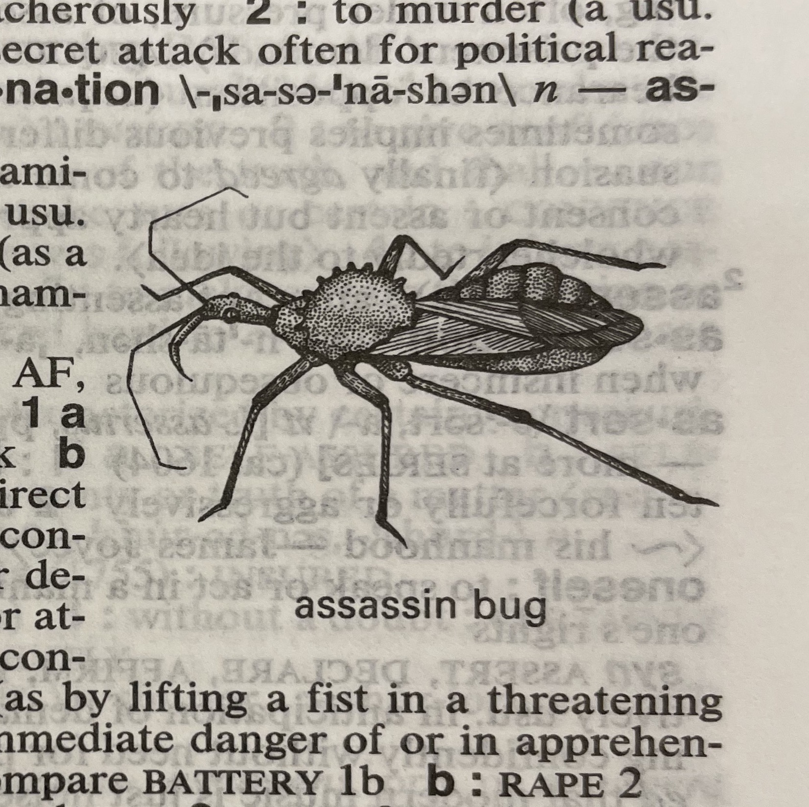Dictionary illustration