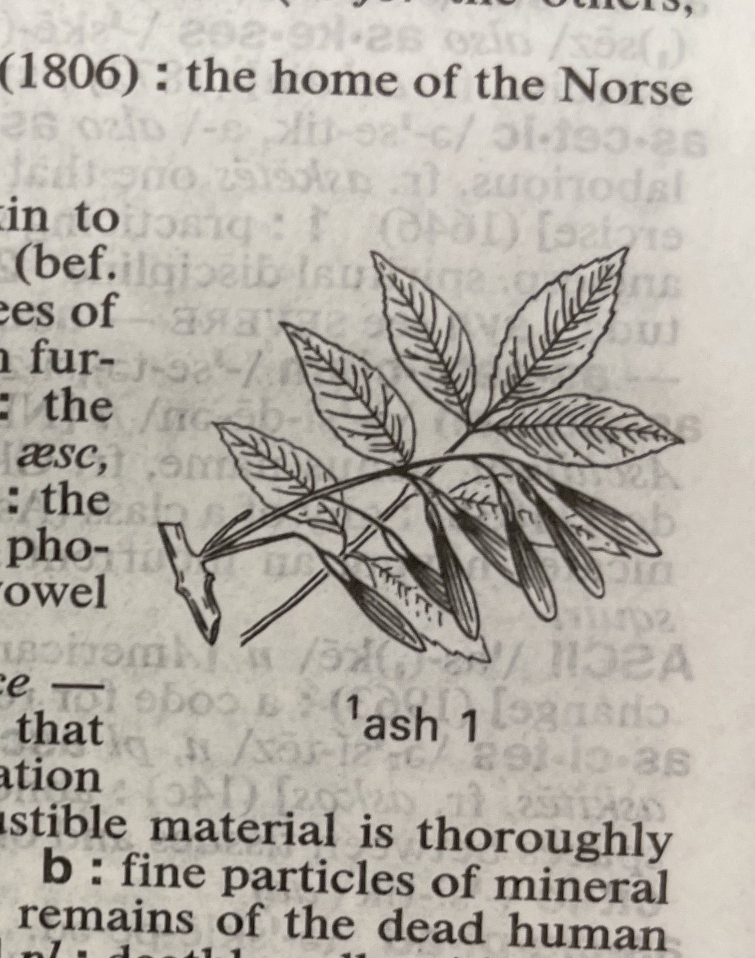 Dictionary illustration