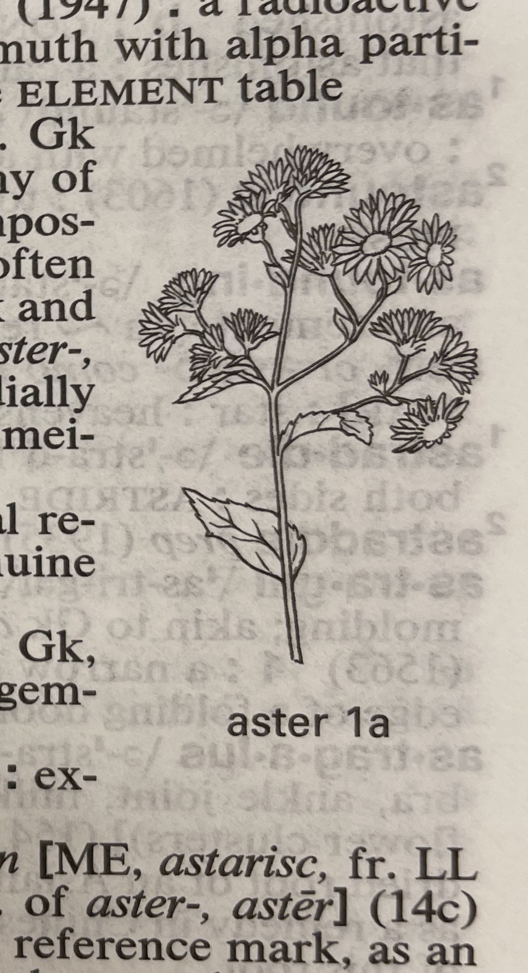 Dictionary illustration