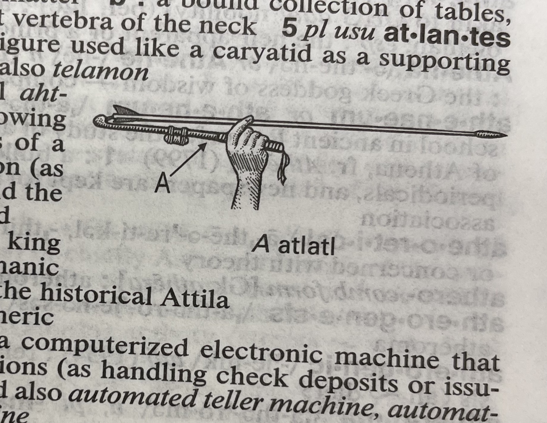 Dictionary illustration