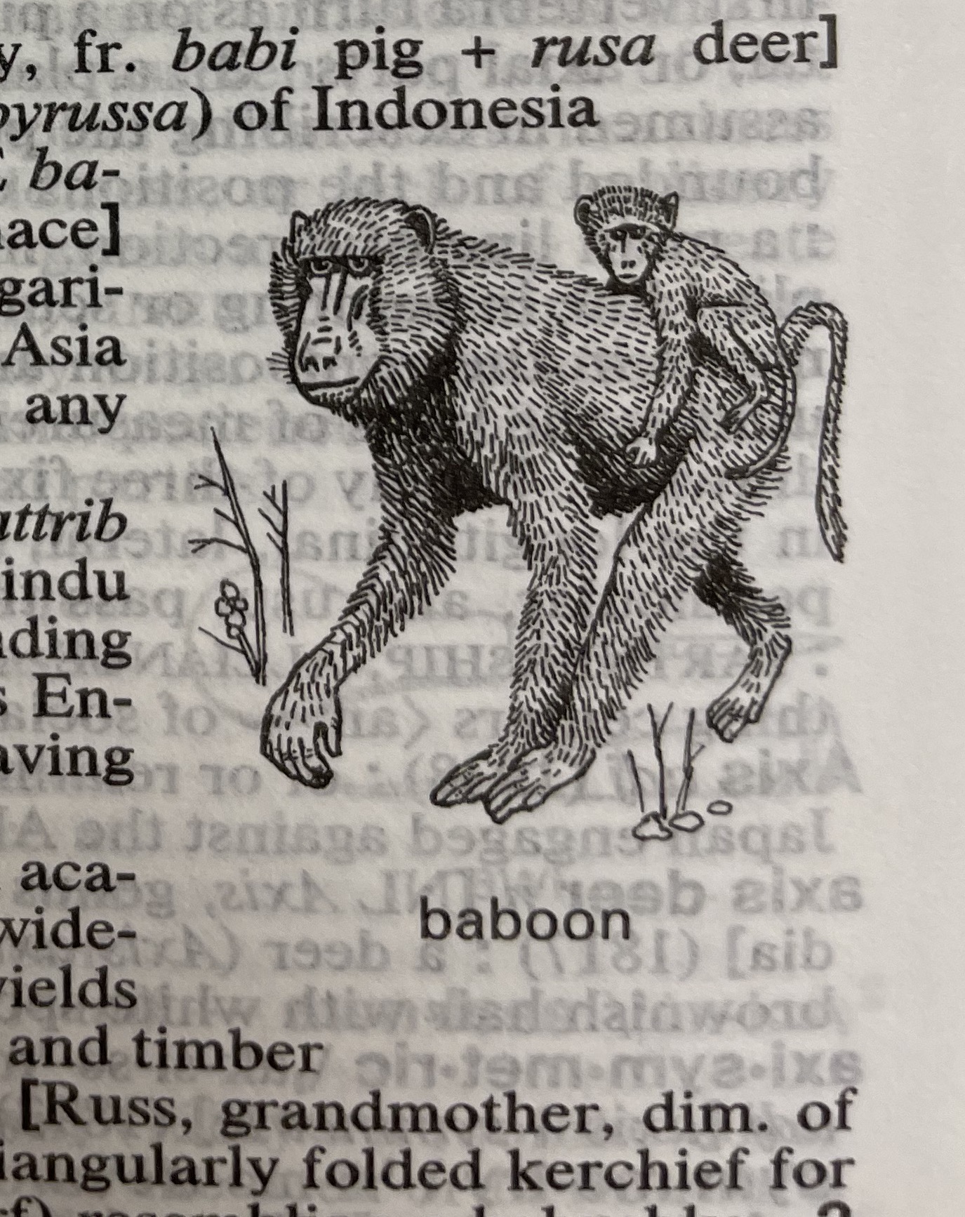 Dictionary illustration