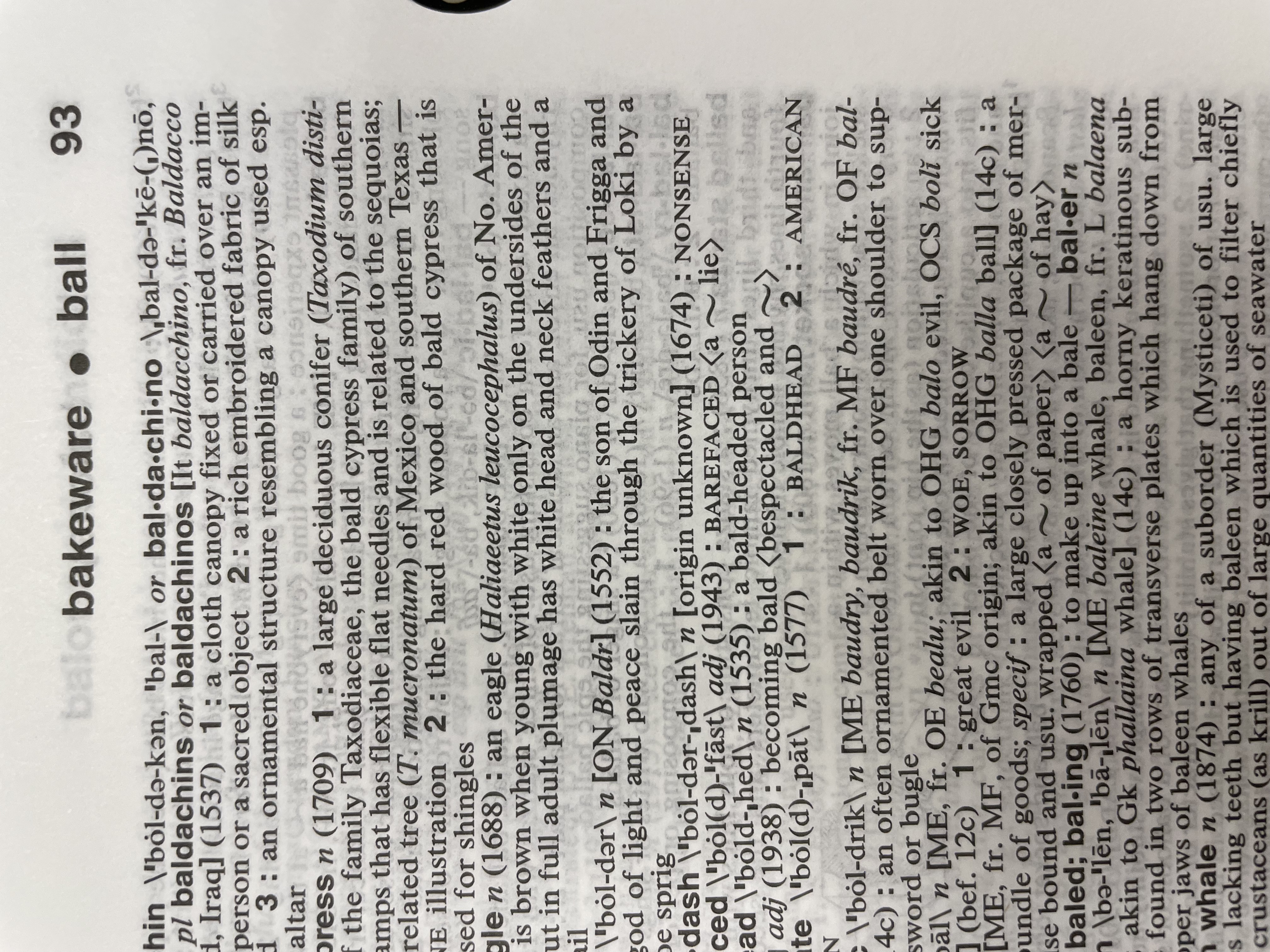 Dictionary illustration