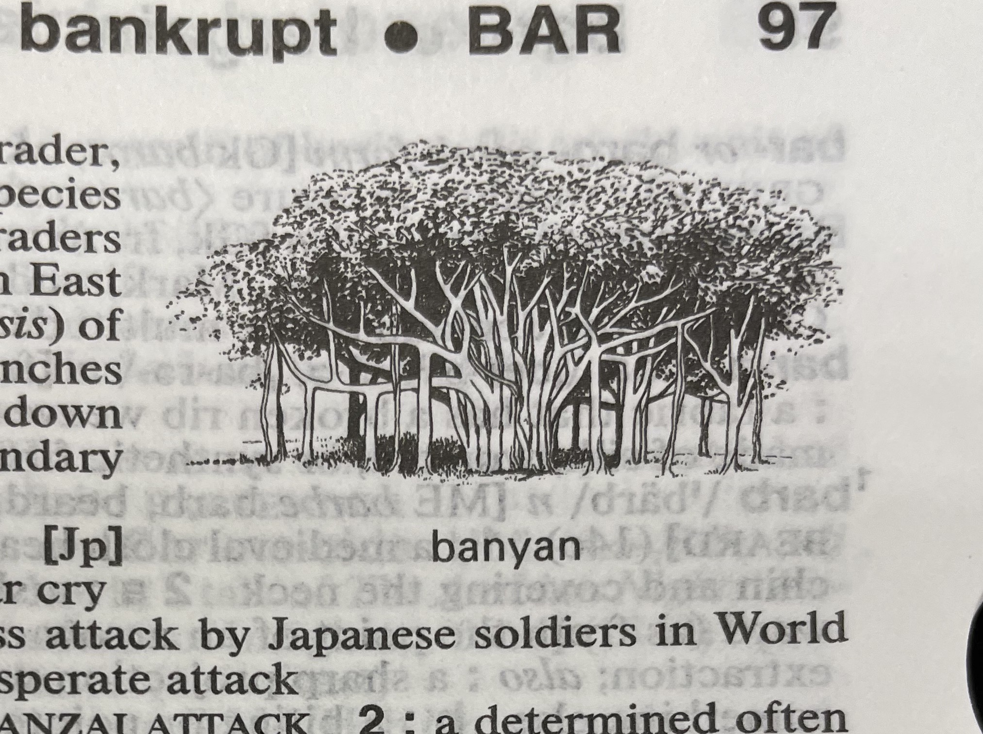 Dictionary illustration