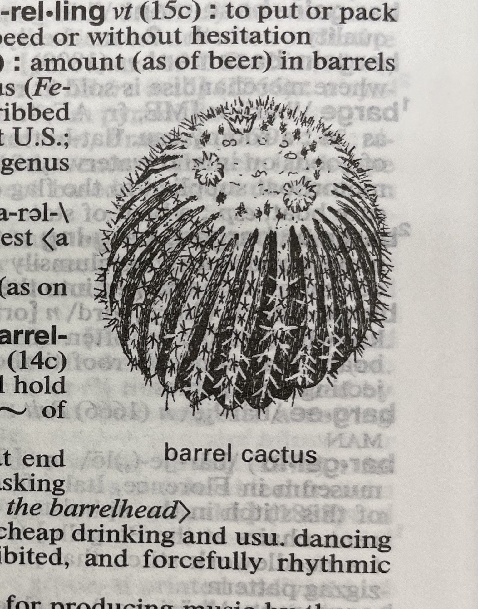 Dictionary illustration