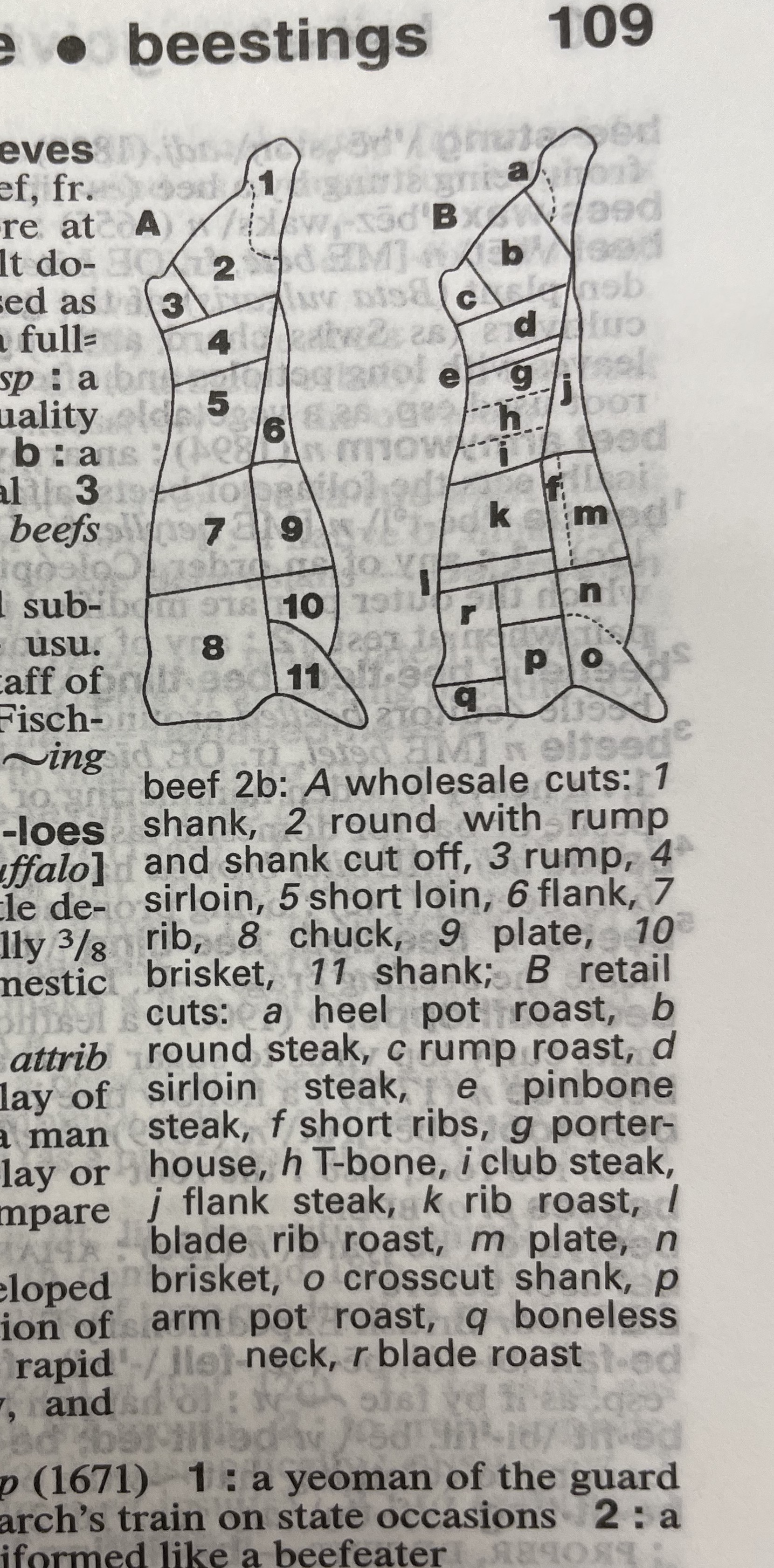 Dictionary illustration