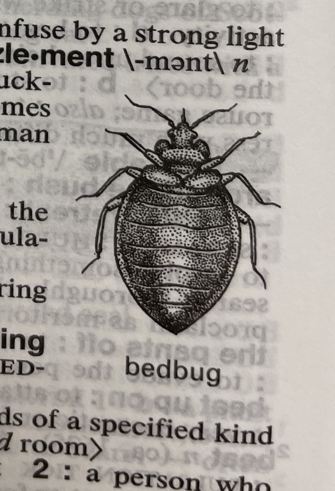 Dictionary illustration