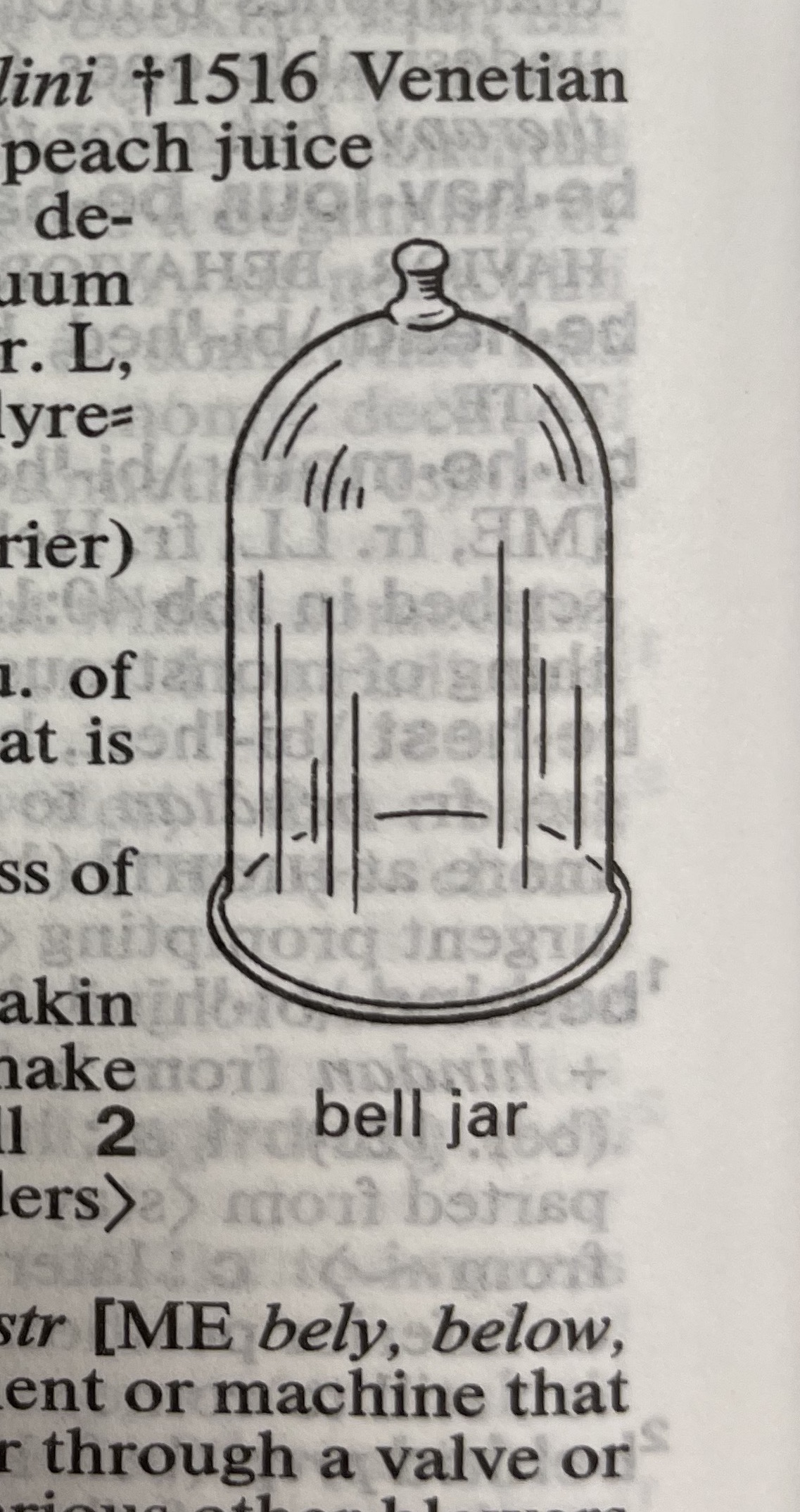 Dictionary illustration