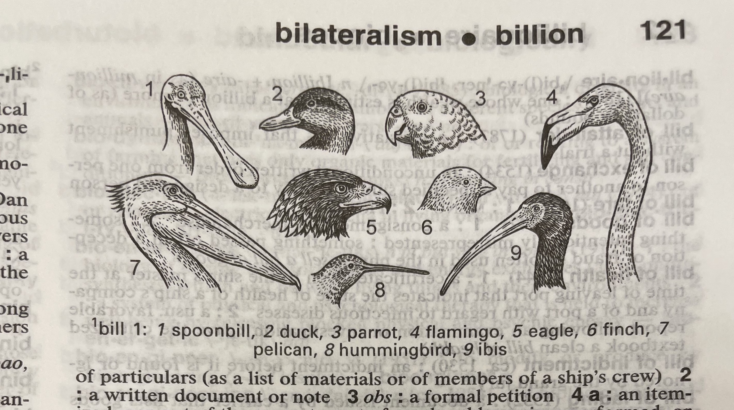 Dictionary illustration