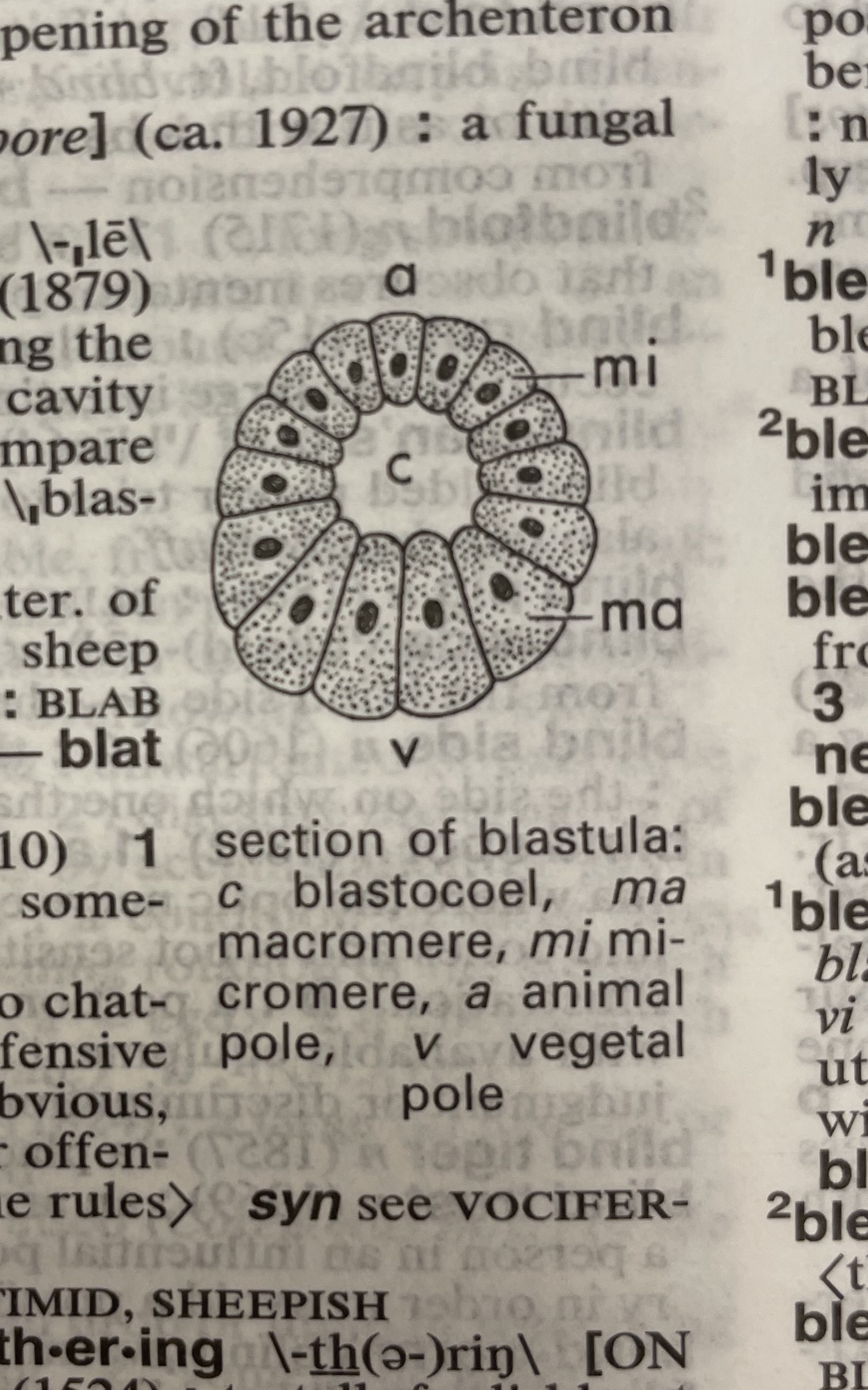 Dictionary illustration