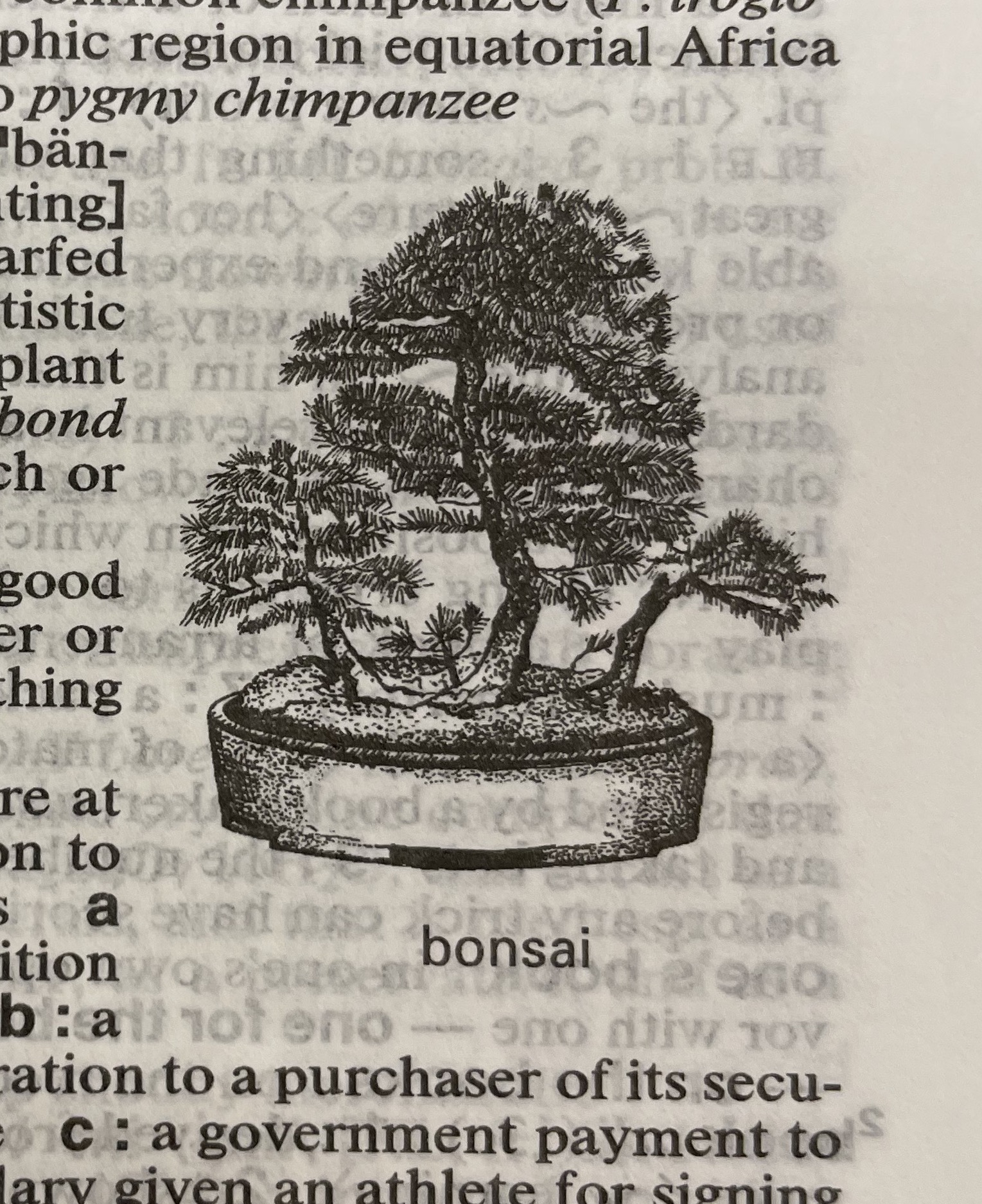 Dictionary illustration