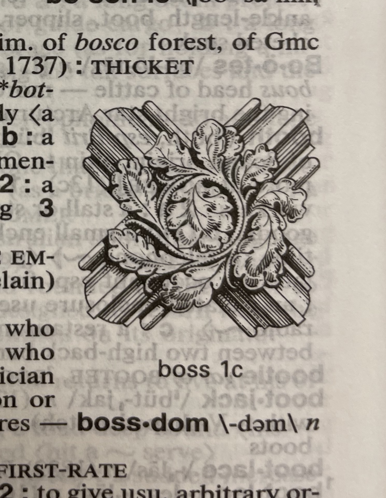 Dictionary illustration