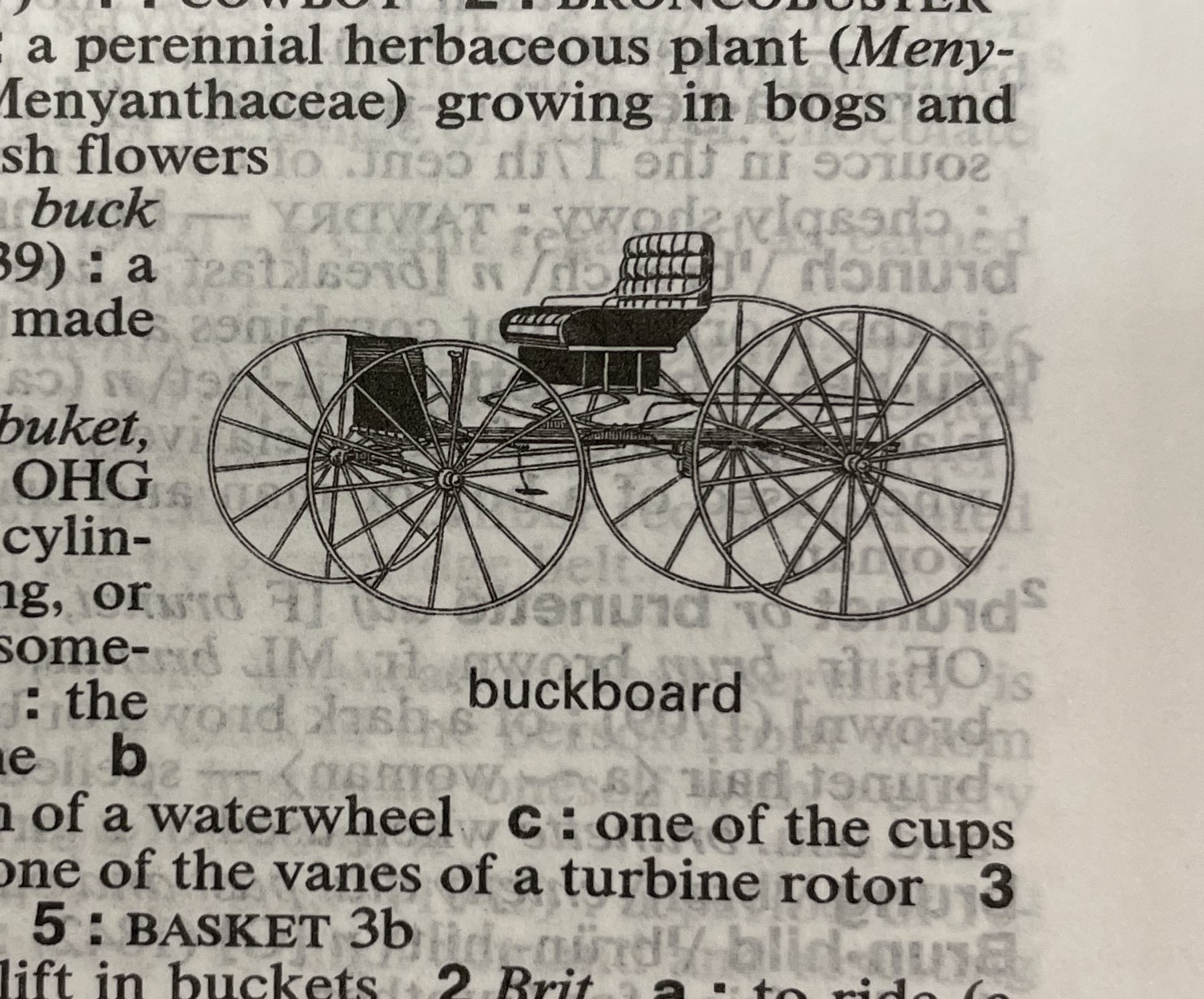 Dictionary illustration