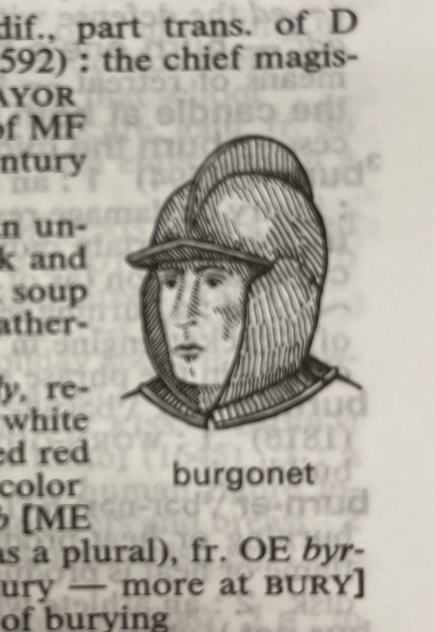 Dictionary illustration