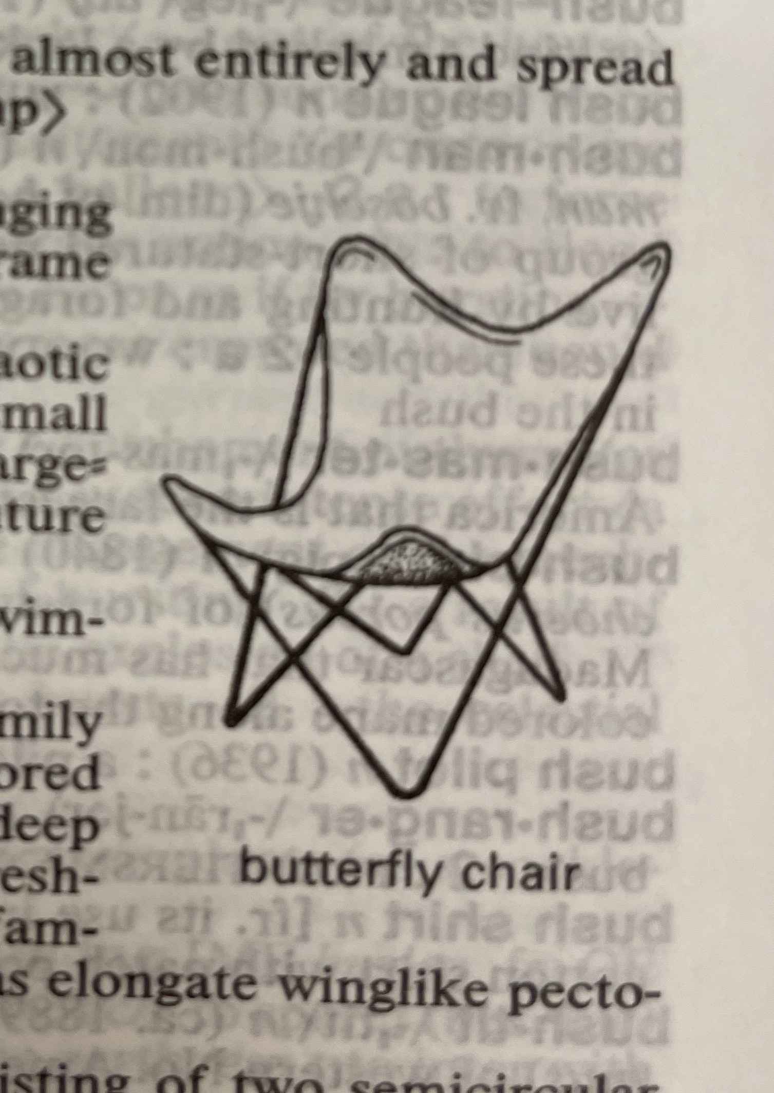 Dictionary illustration