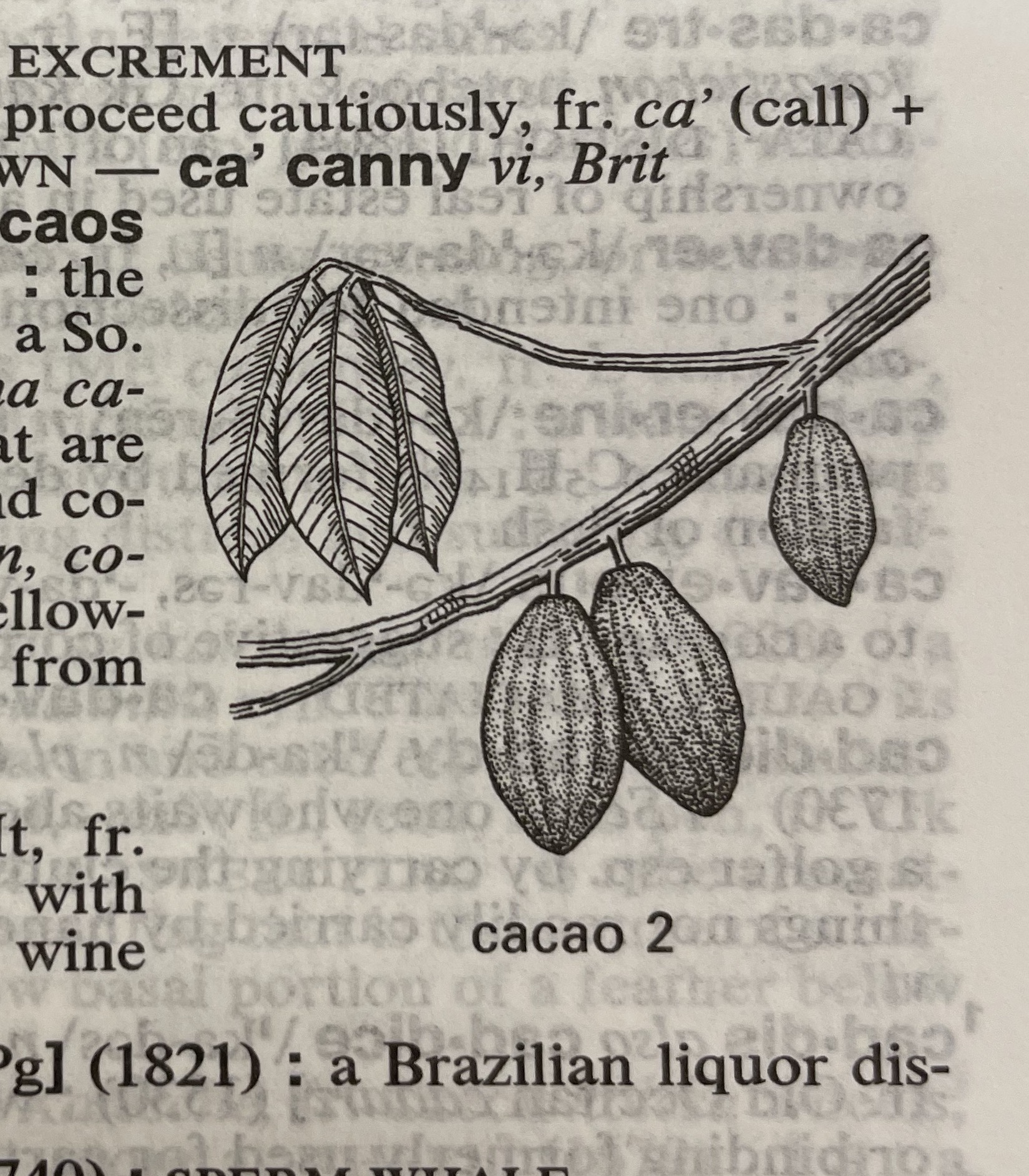 Dictionary illustration
