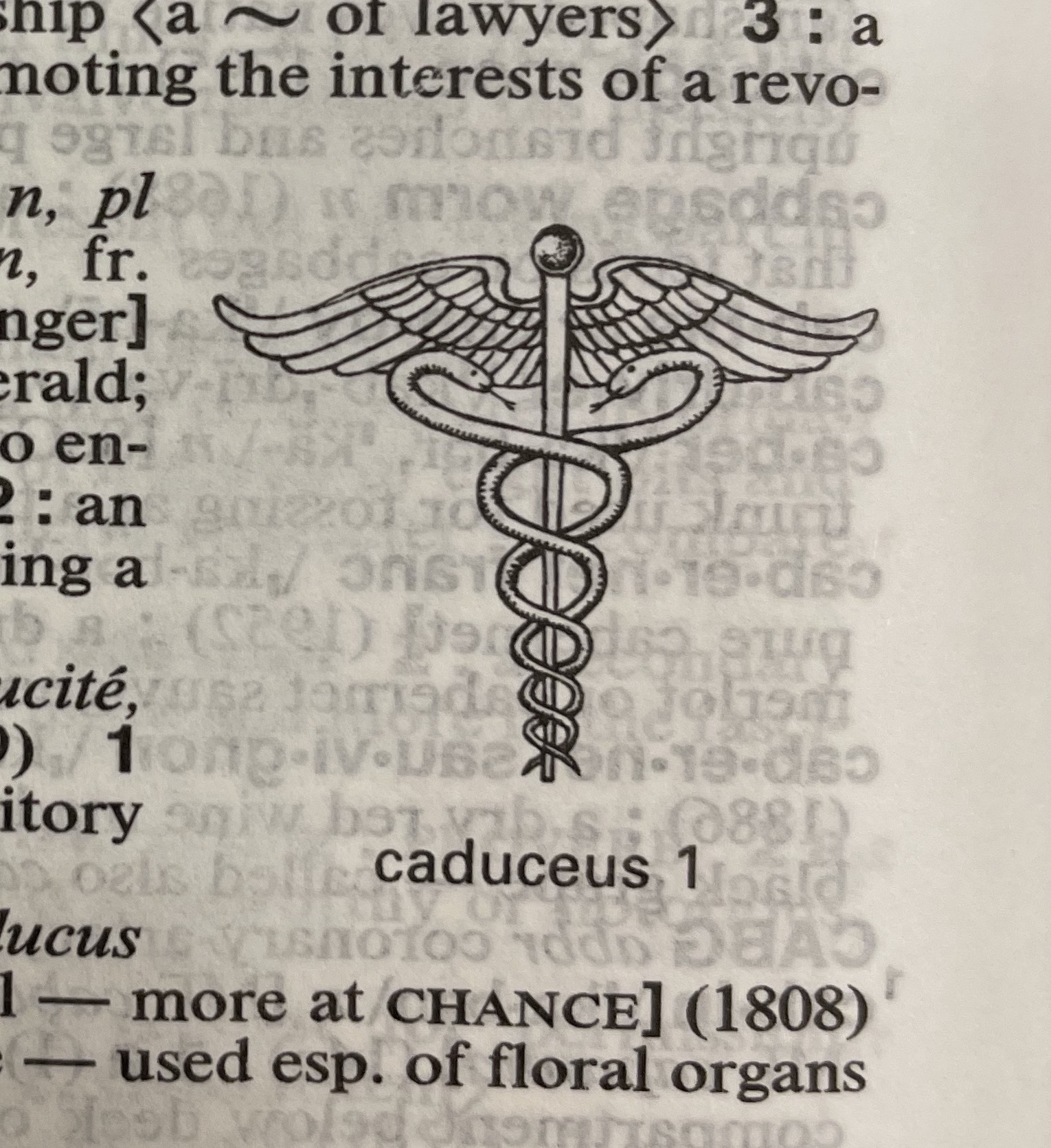 Dictionary illustration