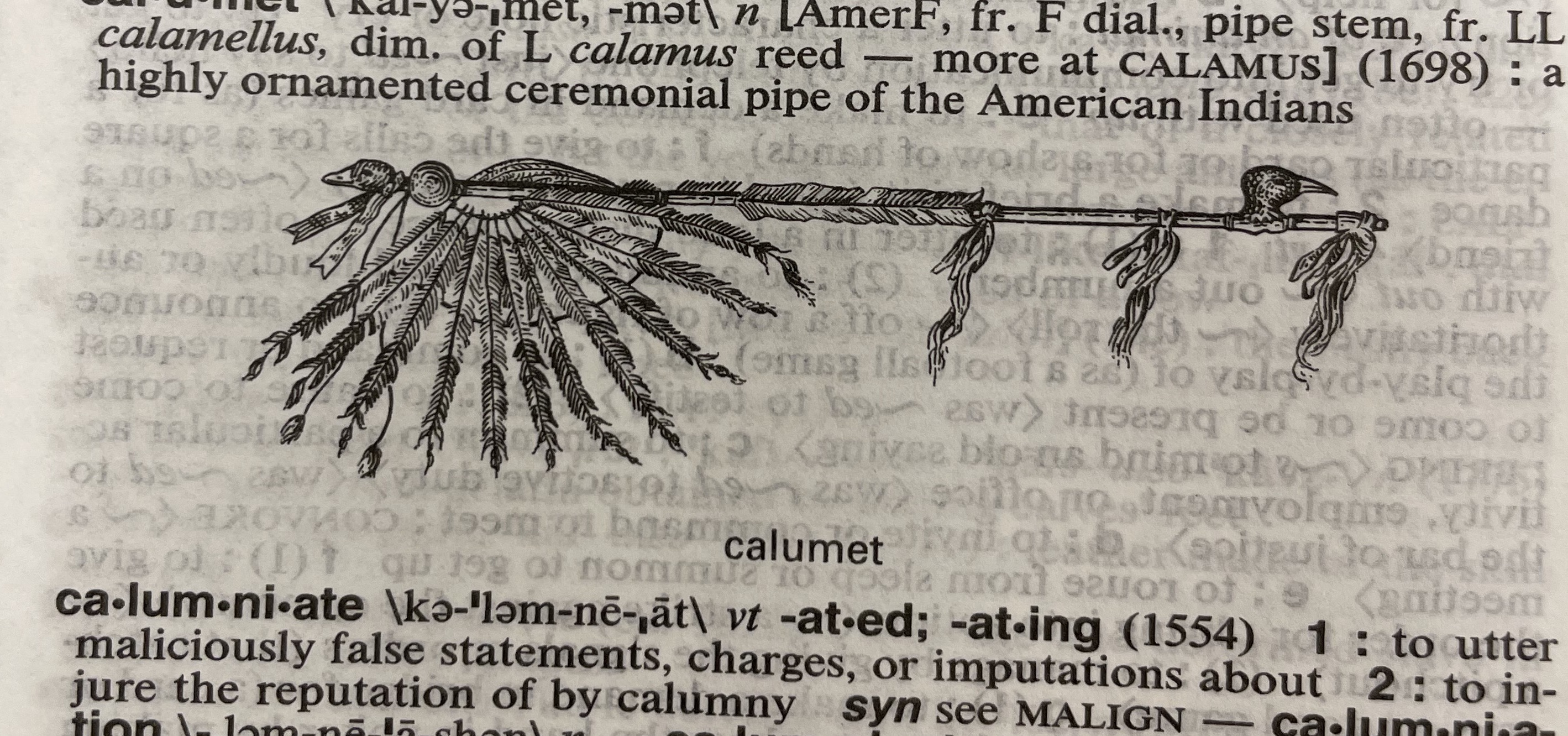 Dictionary illustration