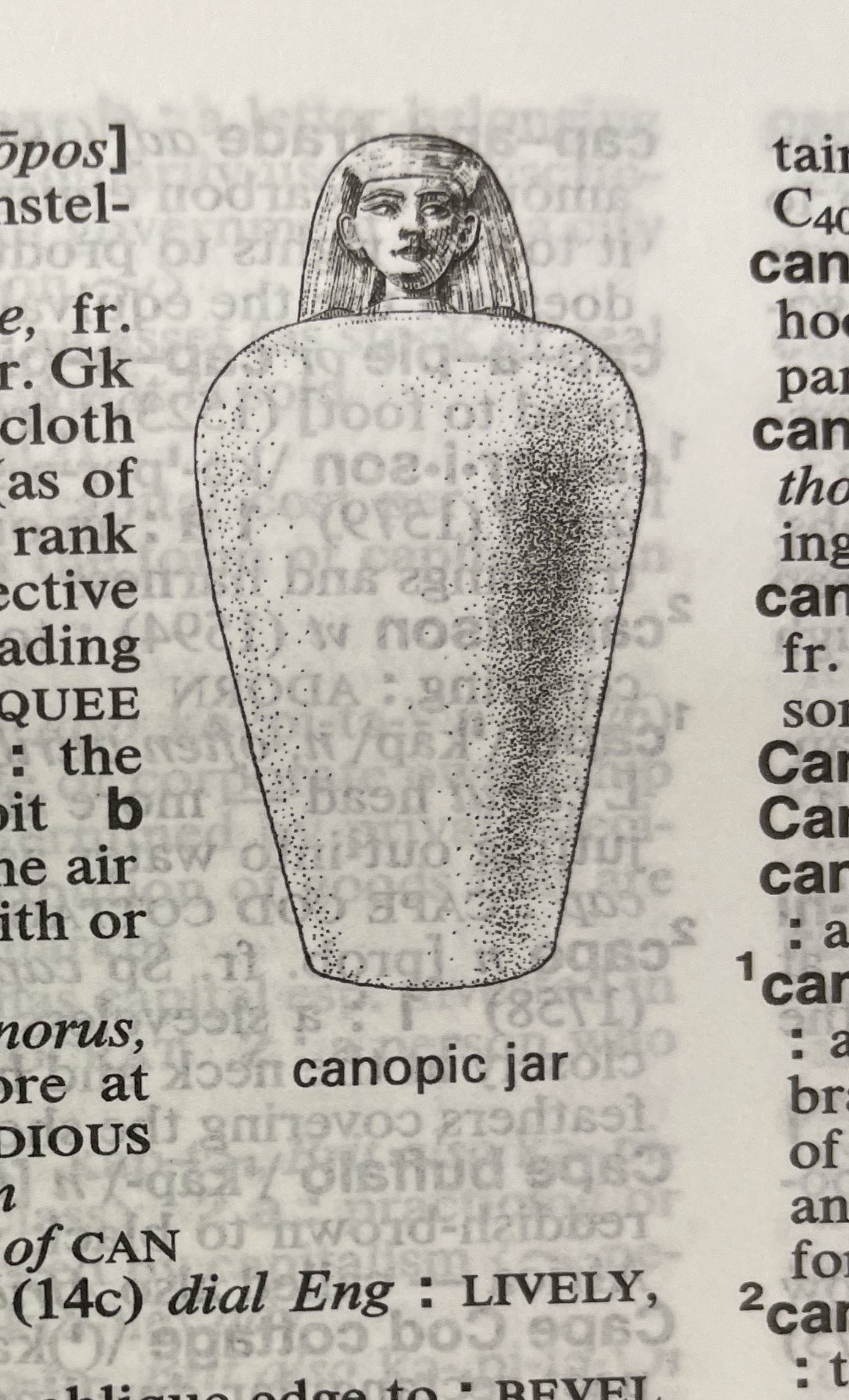 Dictionary illustration