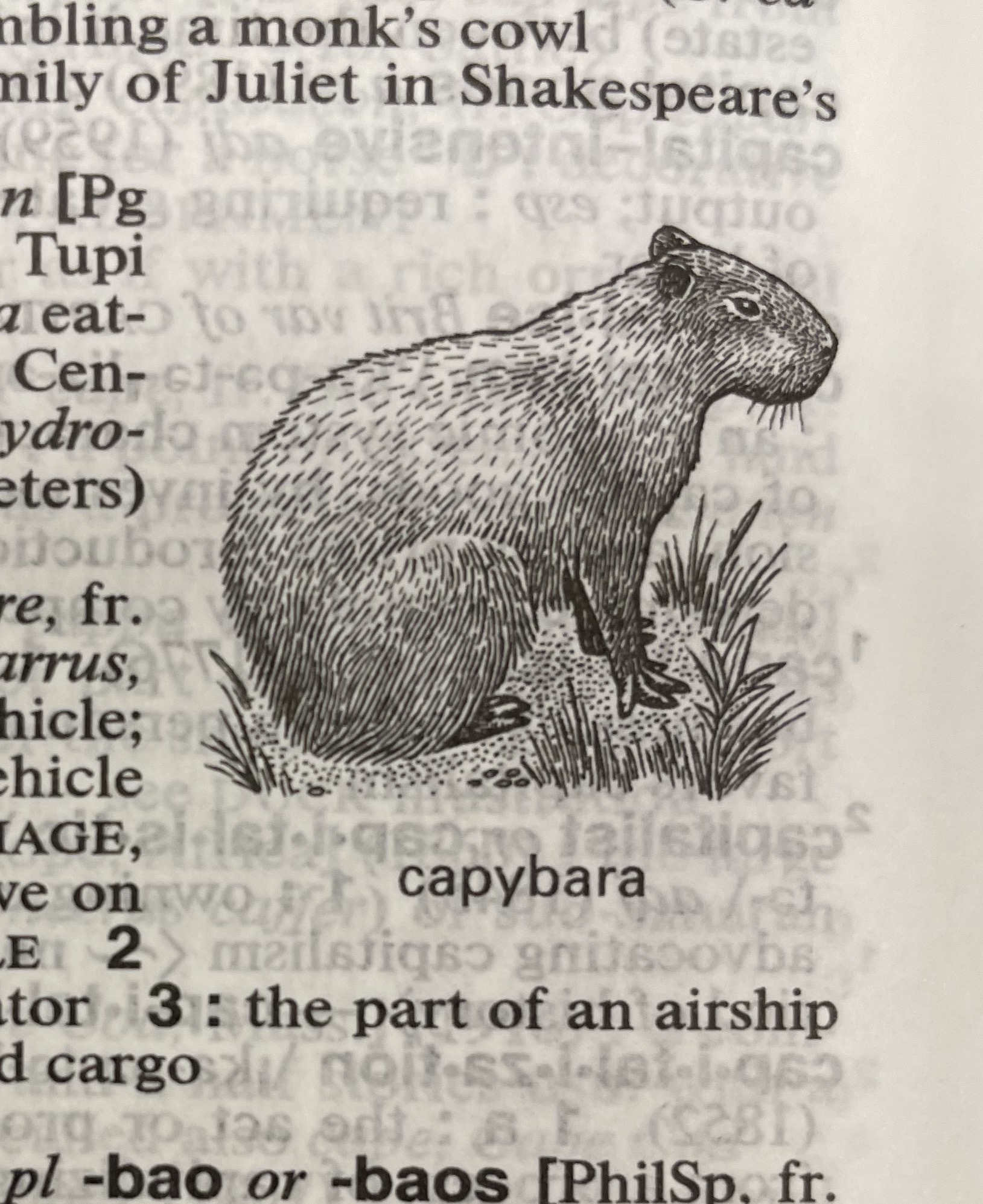 Dictionary illustration