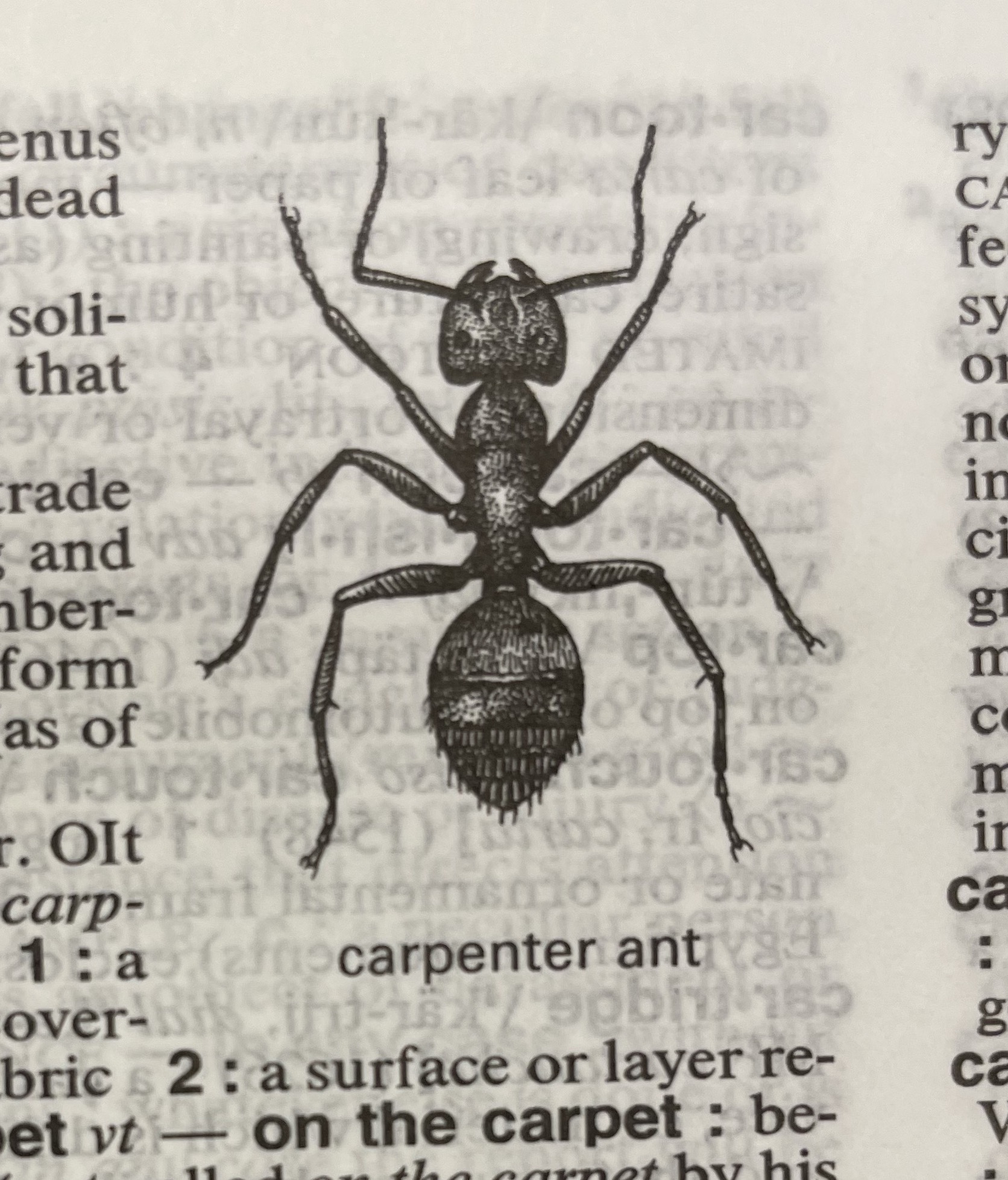 Dictionary illustration