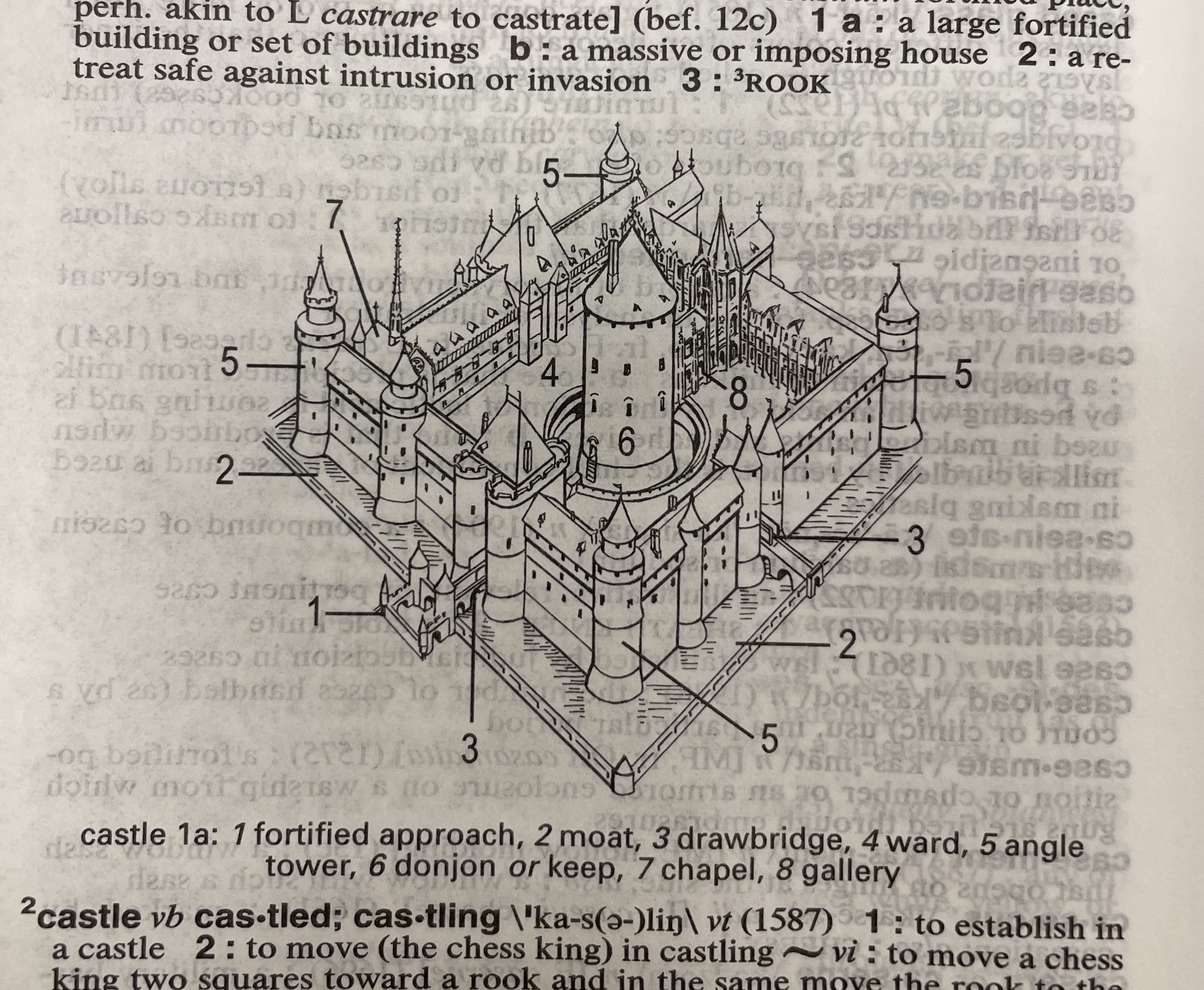 Dictionary illustration