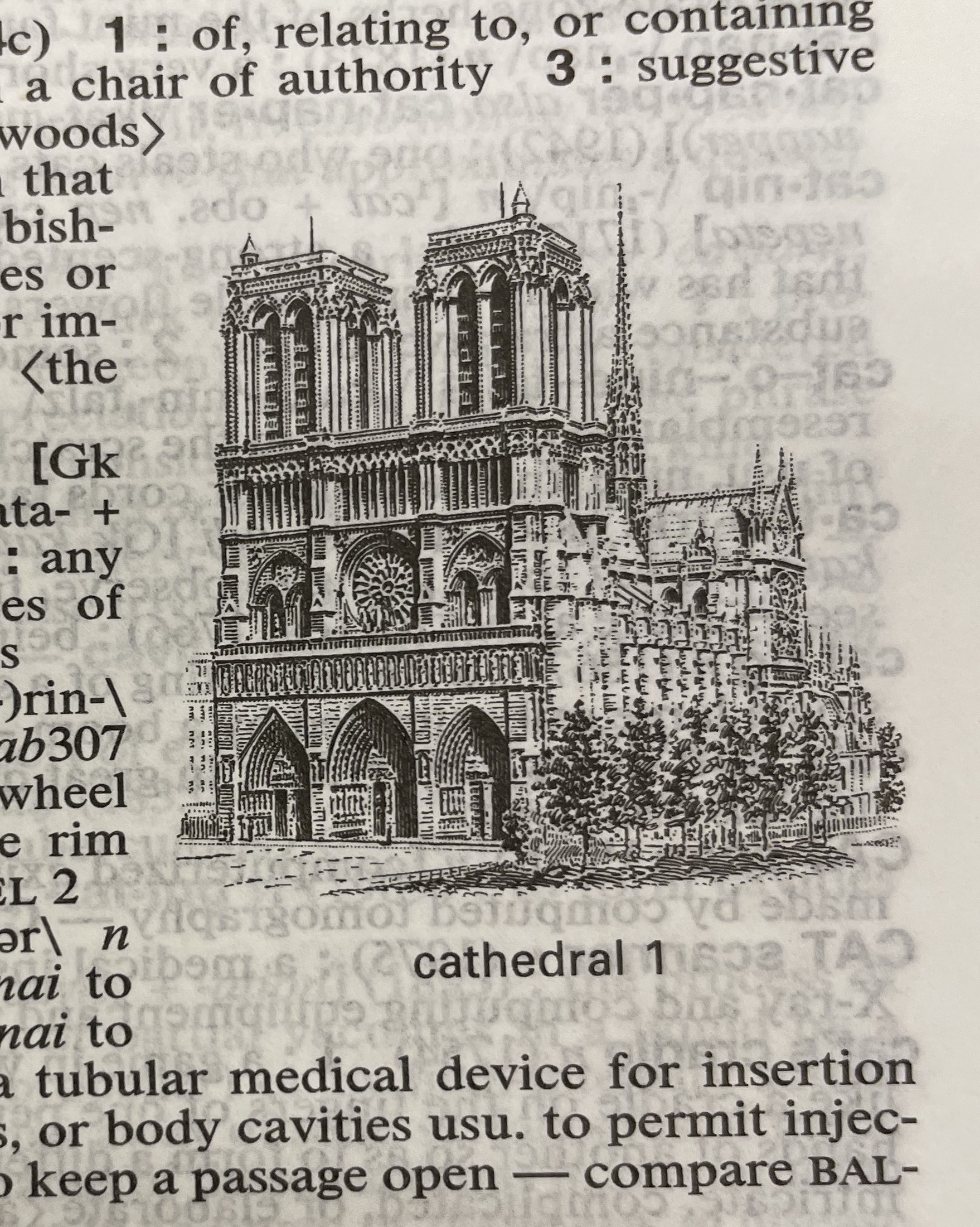 Dictionary illustration