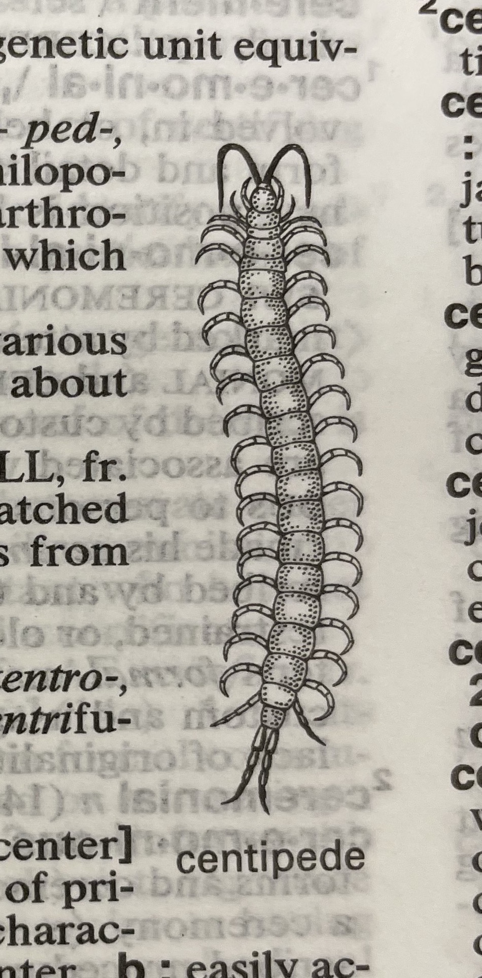 Dictionary illustration