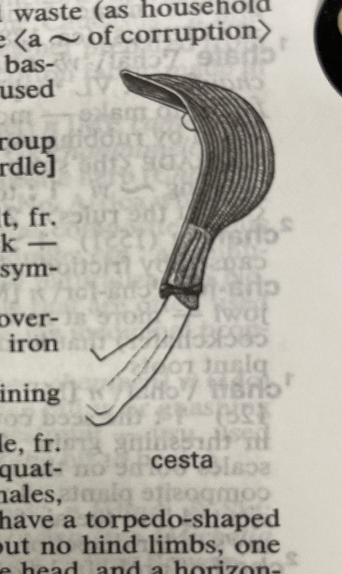 Dictionary illustration