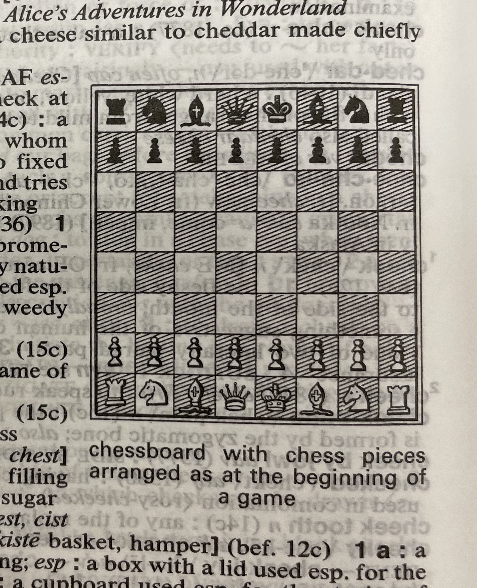 Dictionary illustration