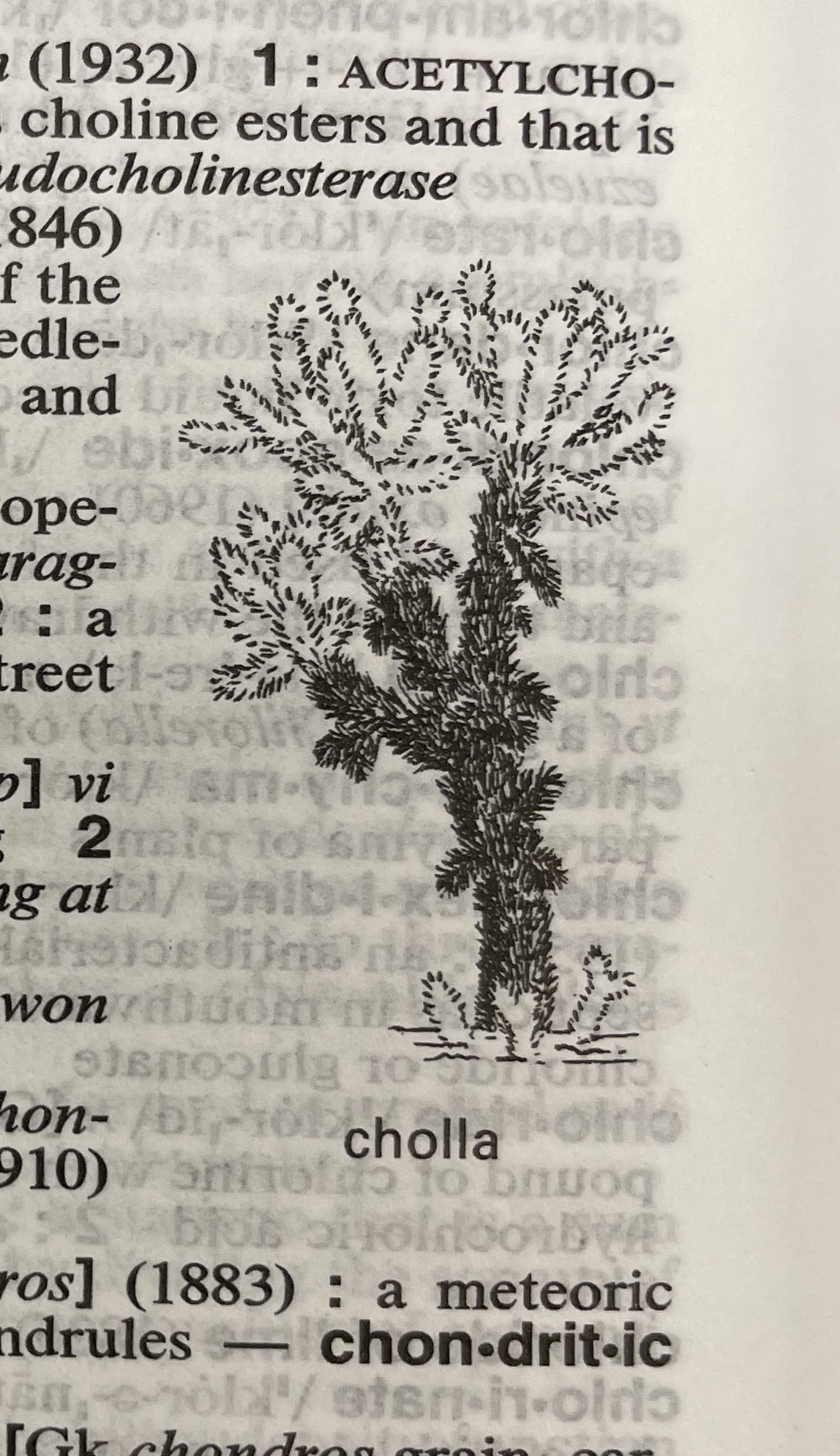 Dictionary illustration