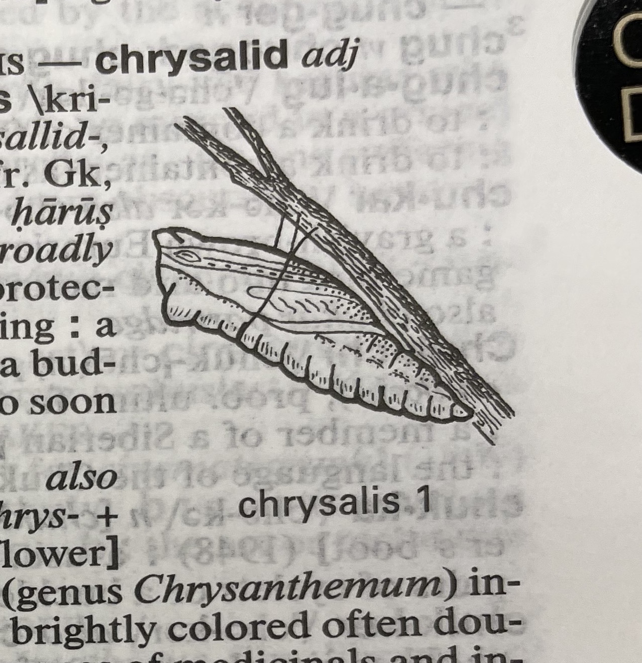 Dictionary illustration