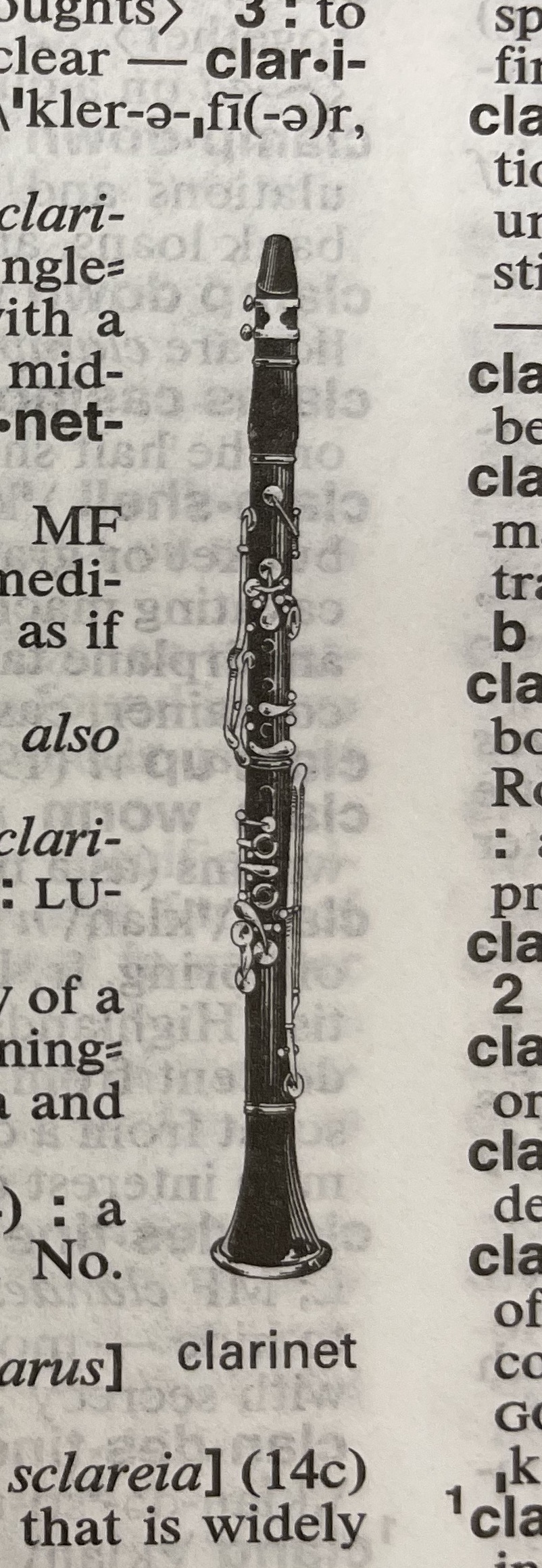 Dictionary illustration