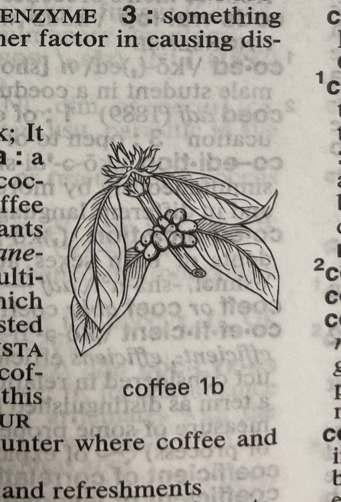Dictionary illustration