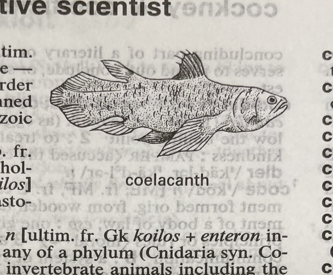 Dictionary illustration