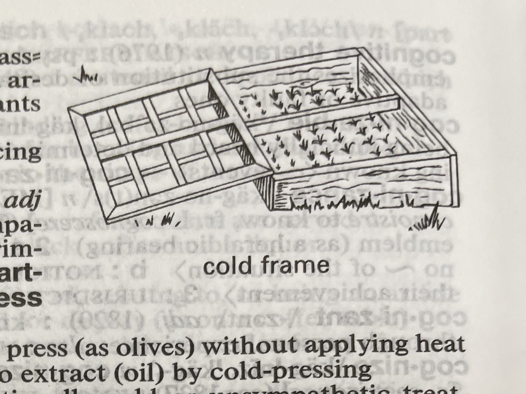 Dictionary illustration