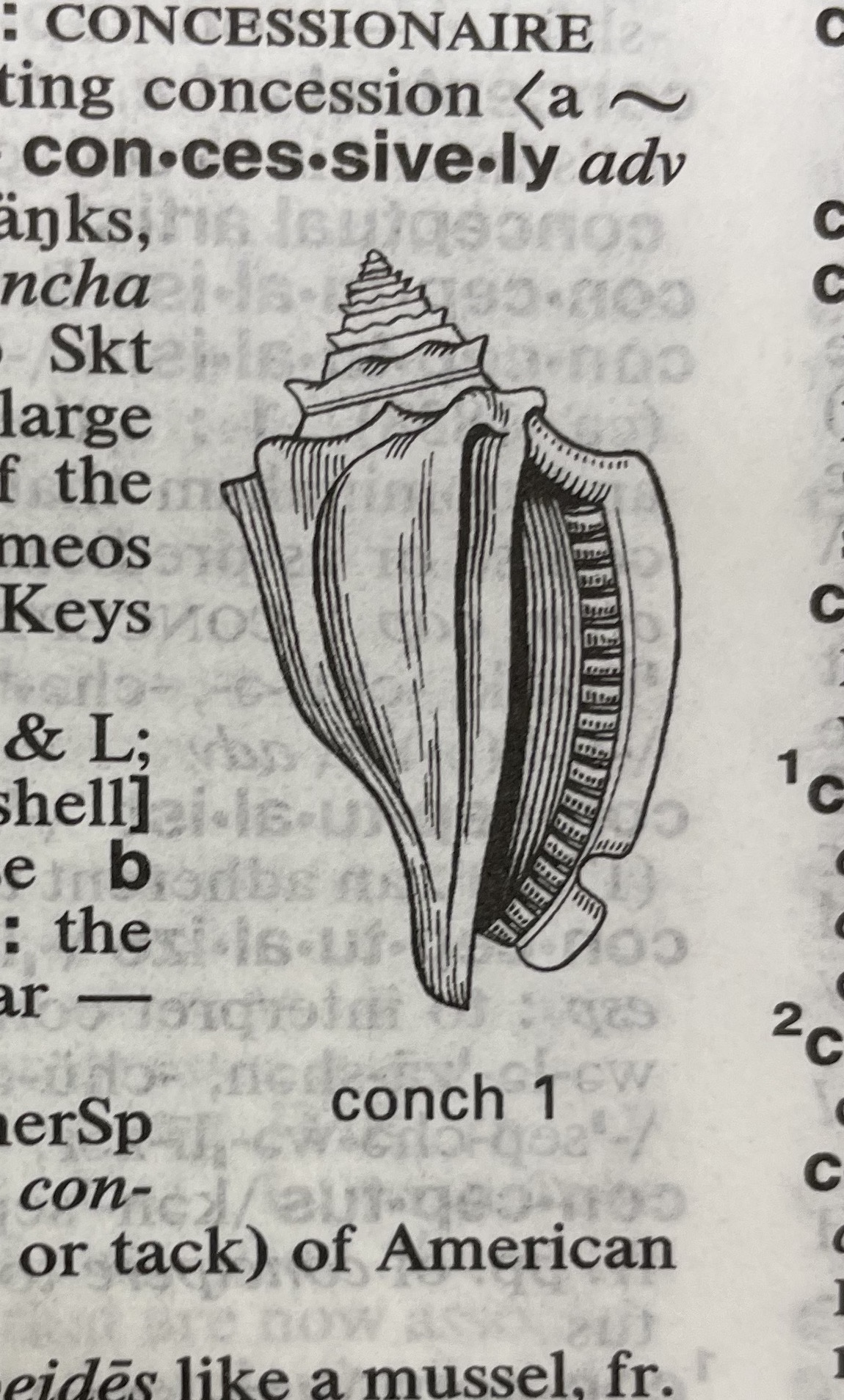 Dictionary illustration