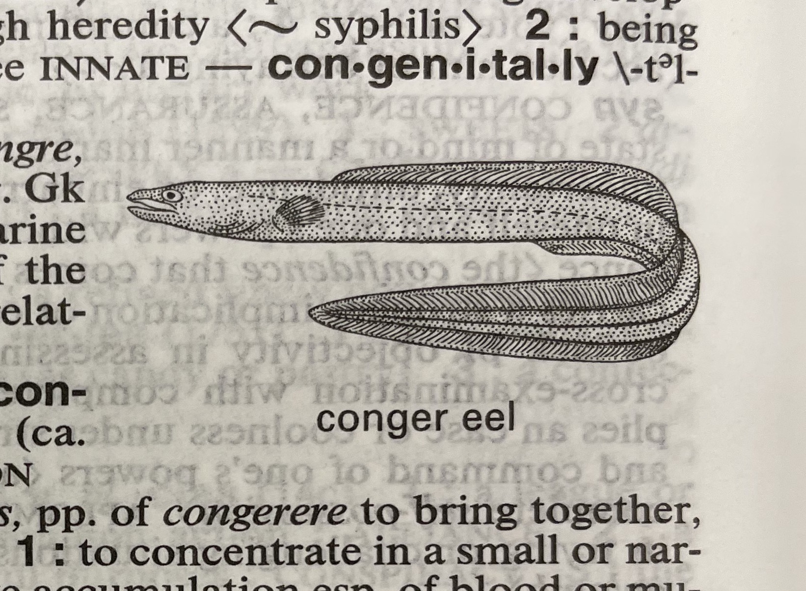 Dictionary illustration