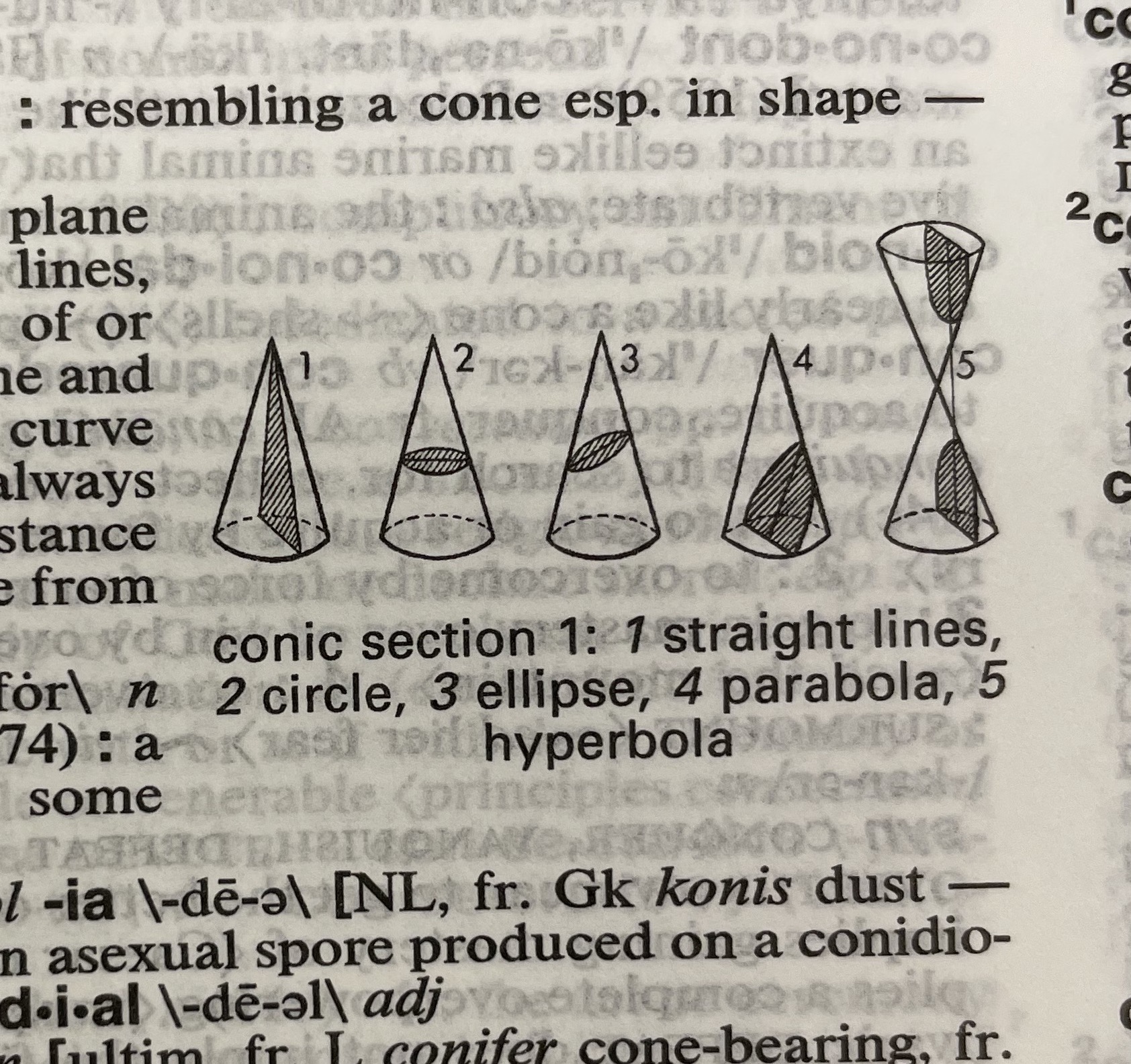 Dictionary illustration